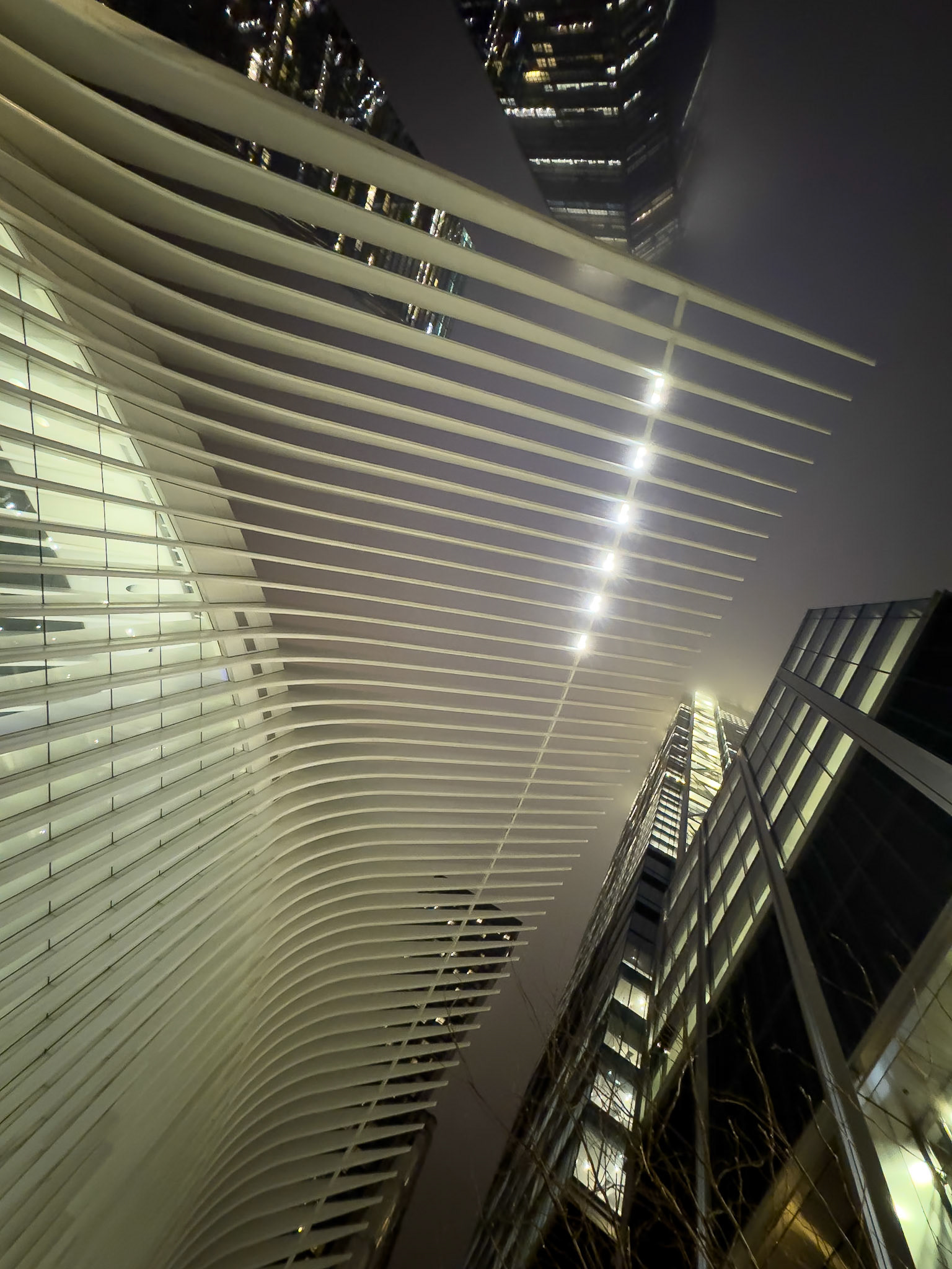 © 2024 Billy Hodgkins Photography All rights reserved.