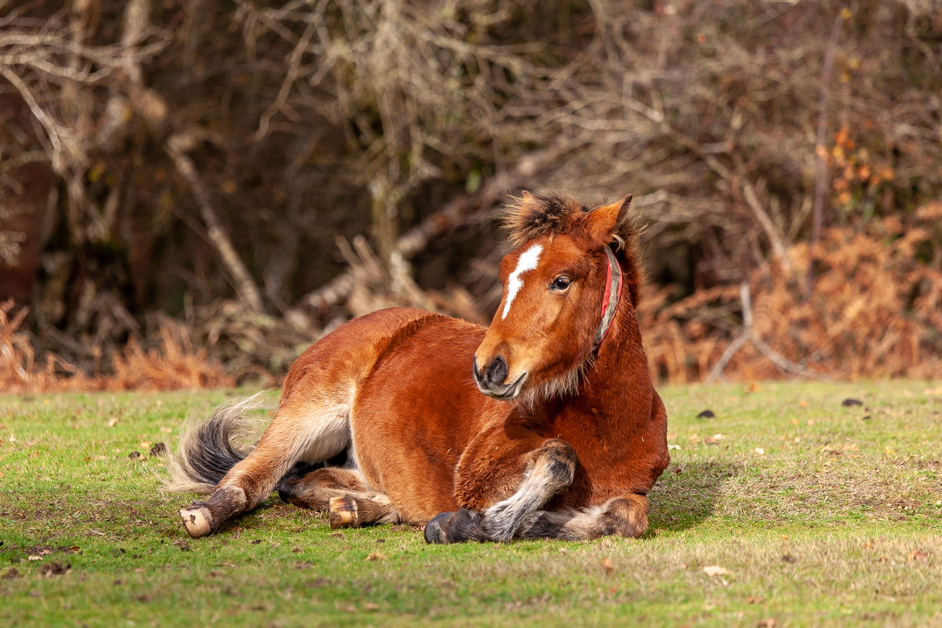 © 2018 Billy Hodgkins Photography All rights reserved.