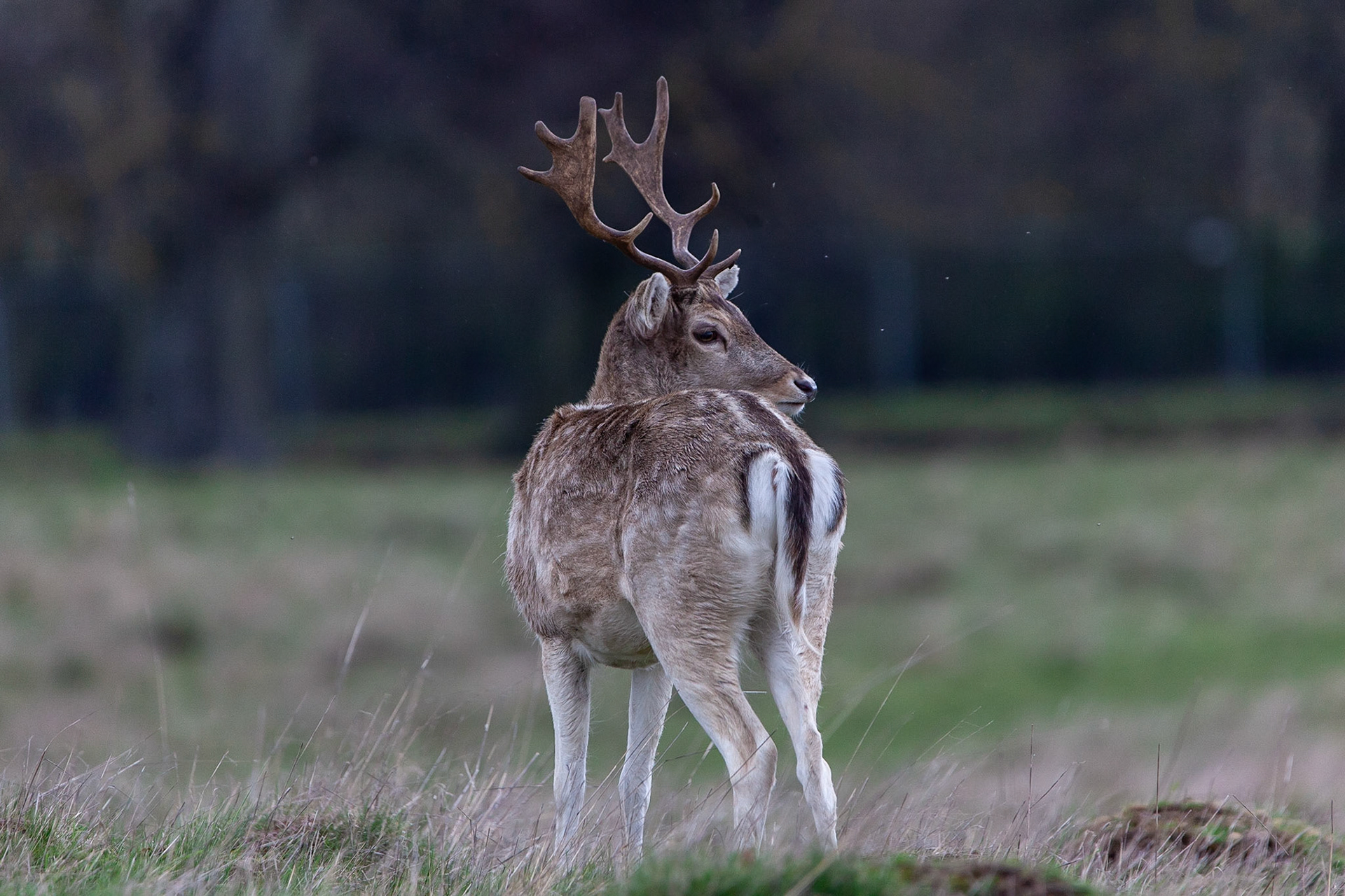 © 2019 Billy Hodgkins Photography All rights reserved.