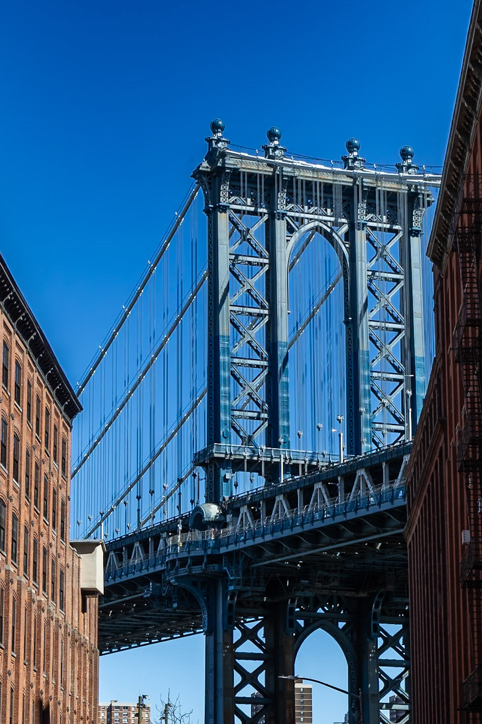 © 2024 Billy Hodgkins Photography All rights reserved.