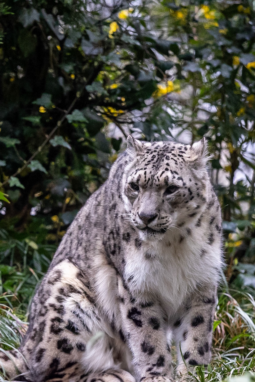 © 2024 Billy Hodgkins Photography All rights reserved.