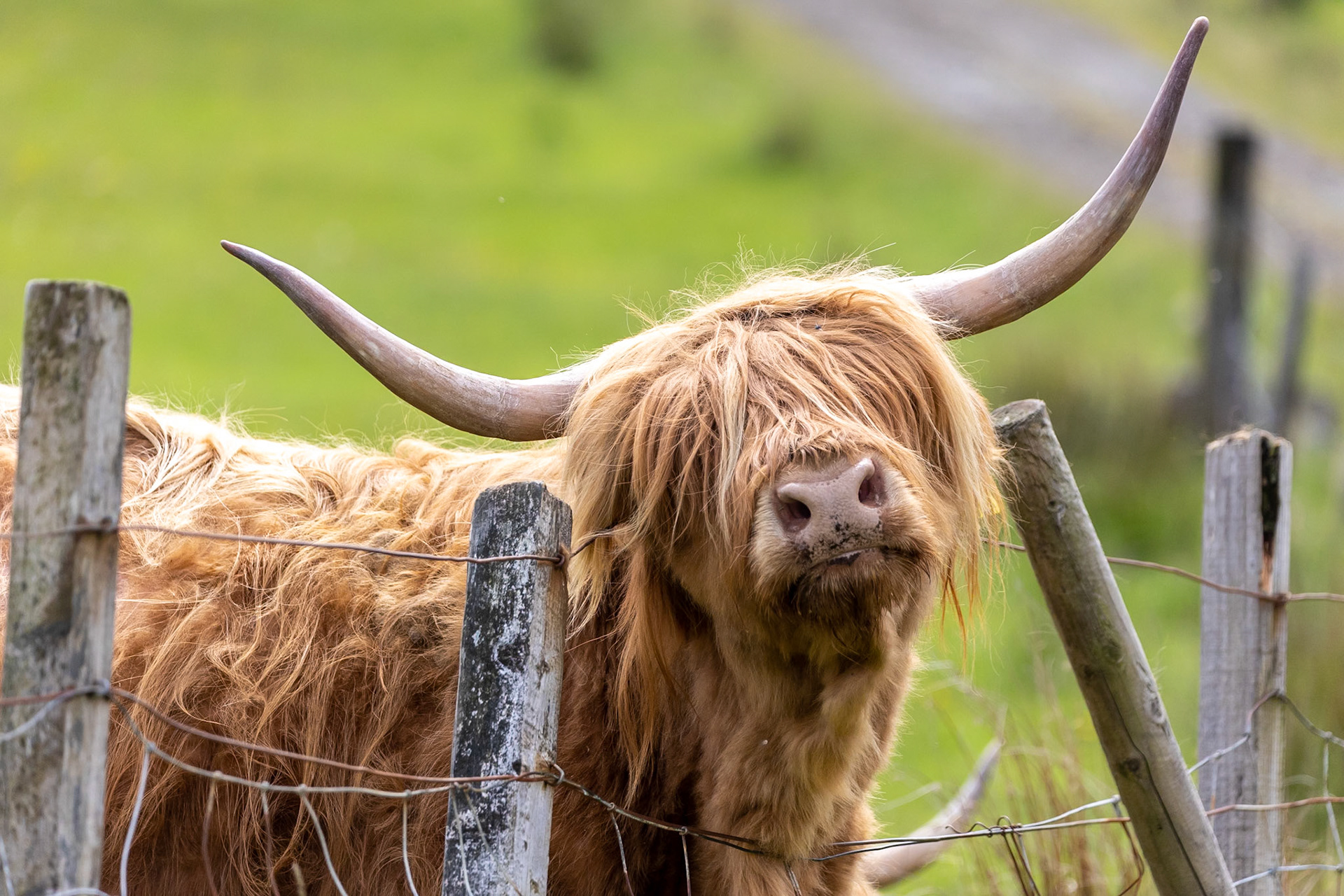 © 2023 Billy Hodgkins Photography All rights reserved.