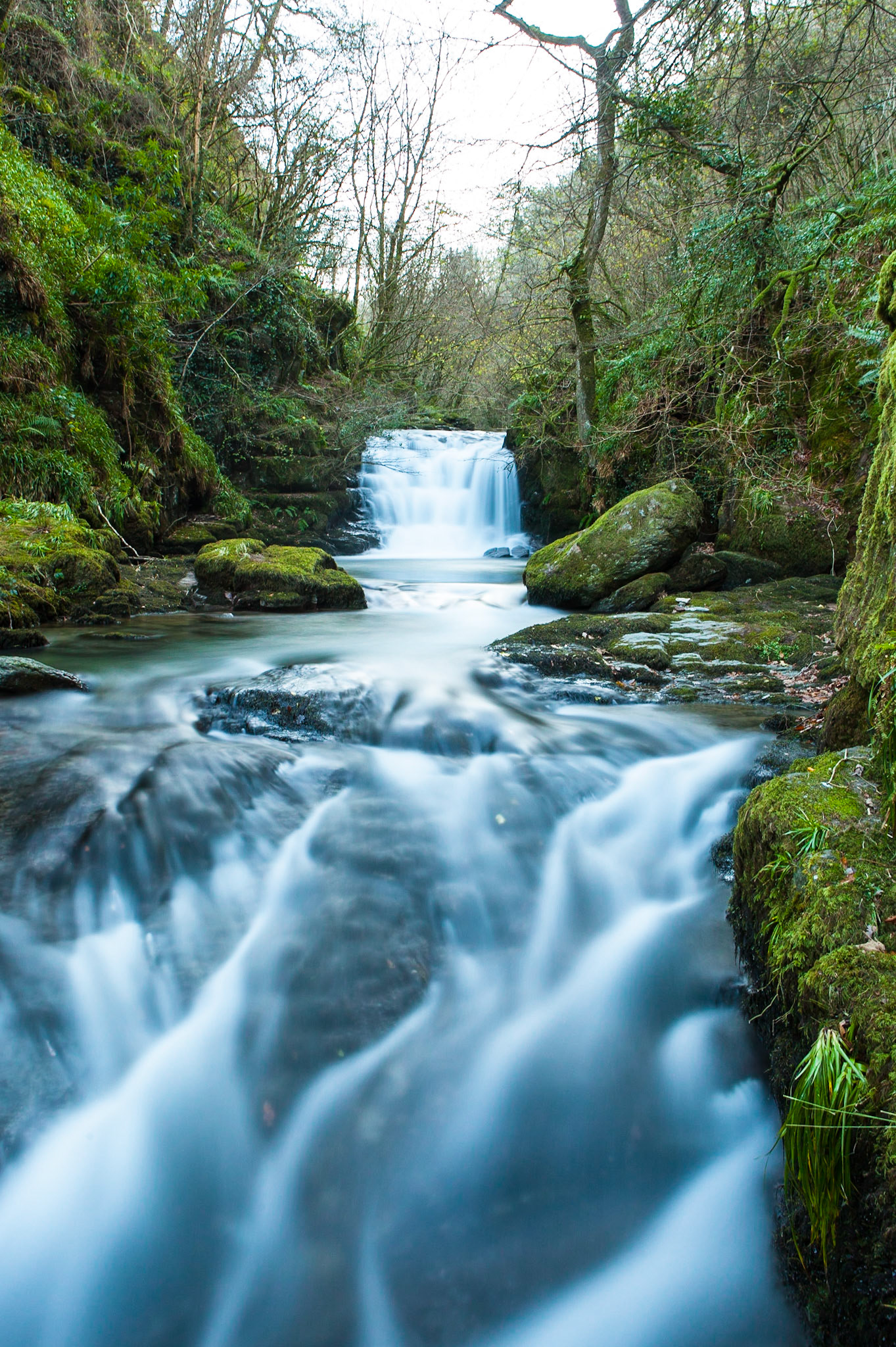 © 2016 Billy Hodgkins Photography All rights reserved.