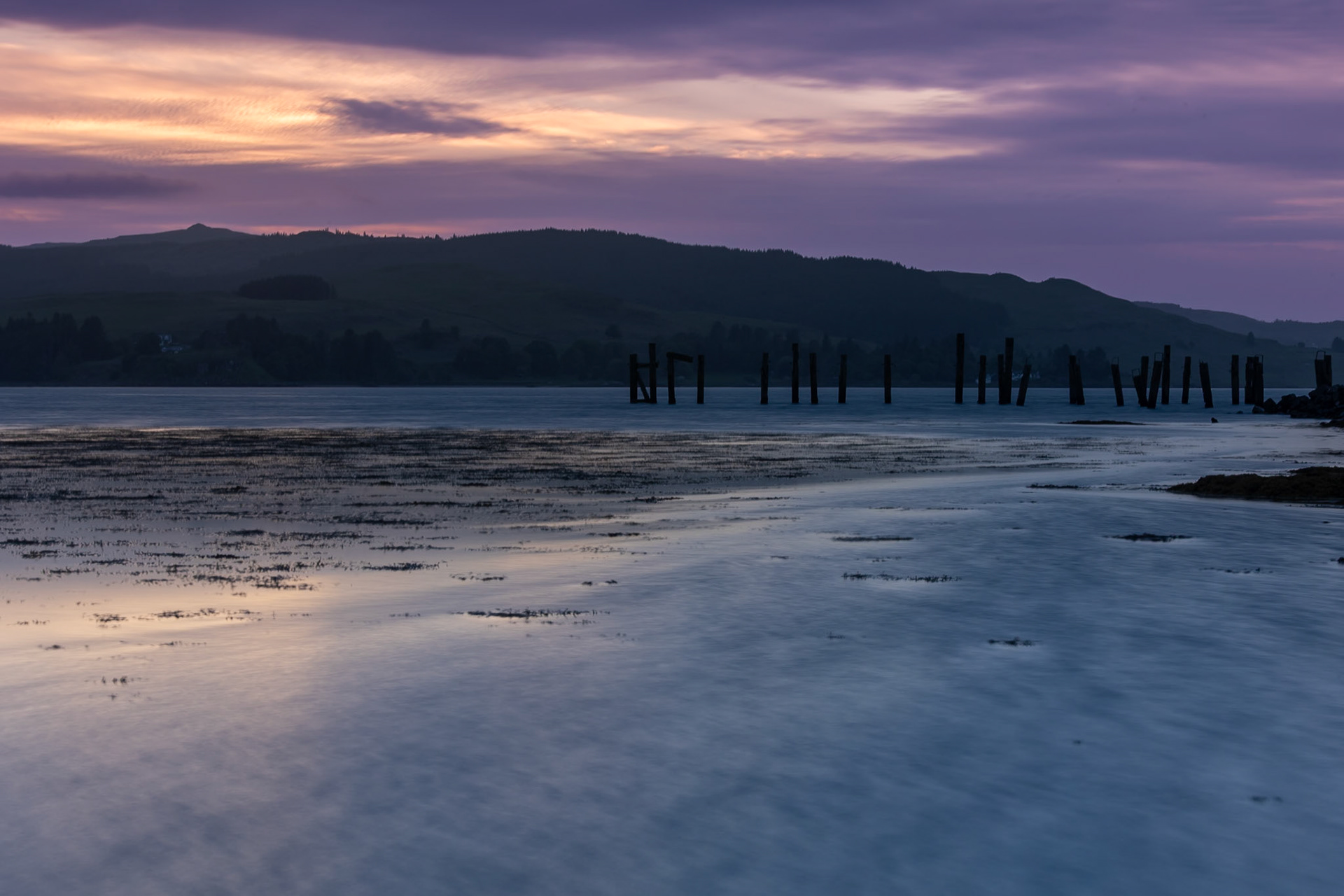 © 2023 Billy Hodgkins Photography All rights reserved.