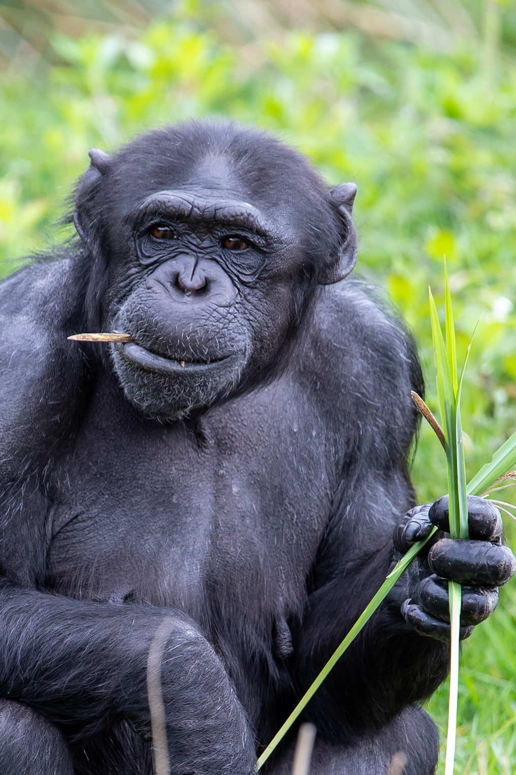 © 2022 Billy Hodgkins Photography All rights reserved.