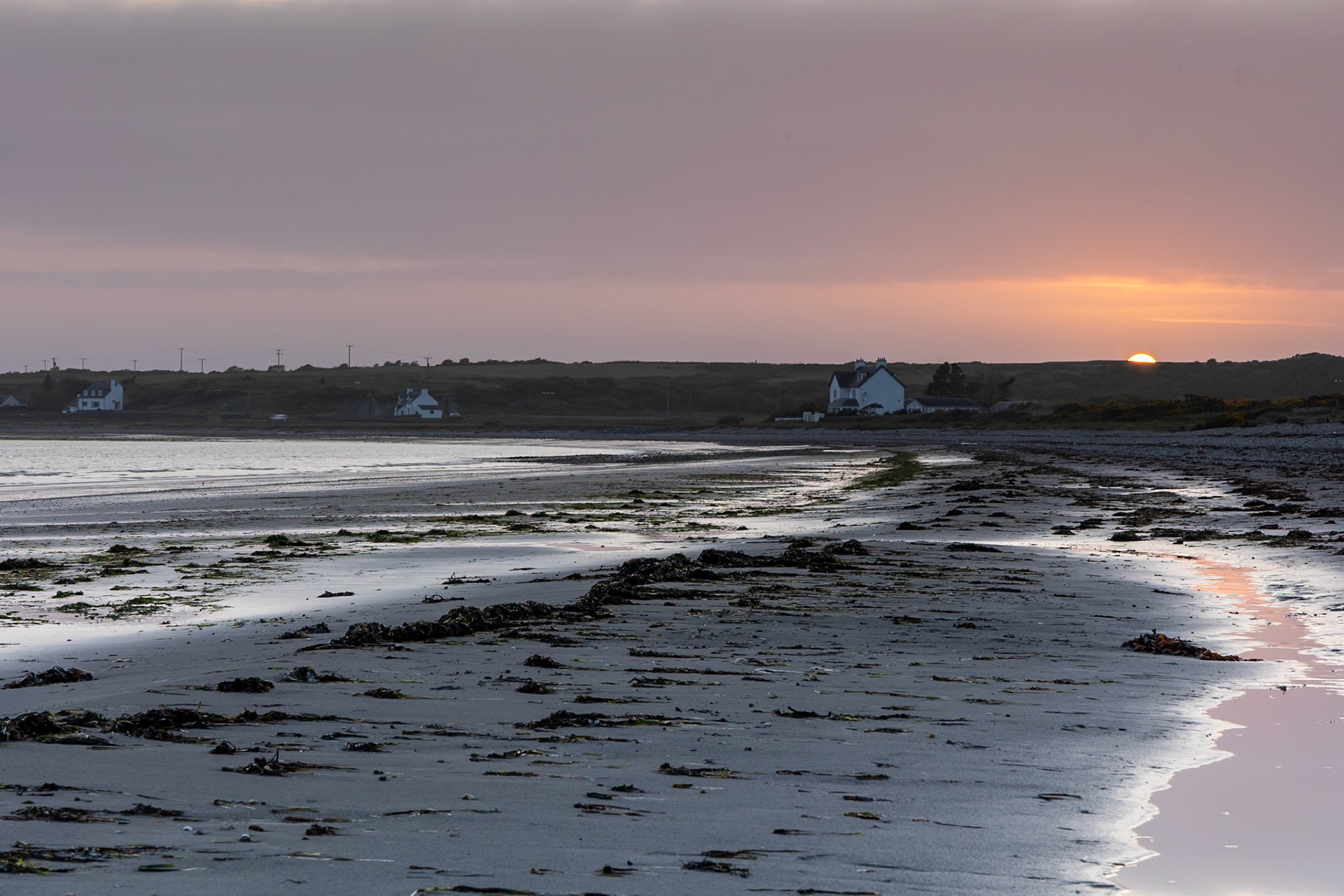 © 2023 Billy Hodgkins Photography All rights reserved.