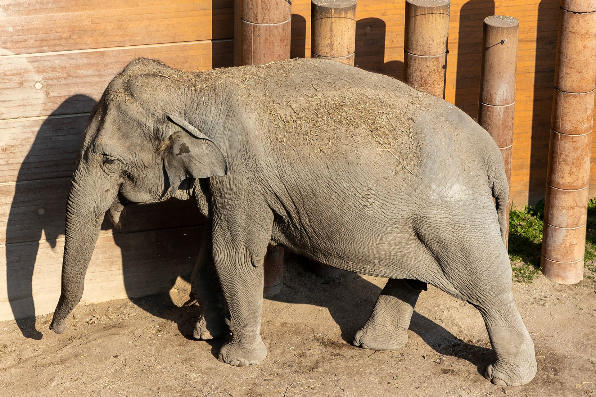 © 2023 Billy Hodgkins Photography All rights reserved.