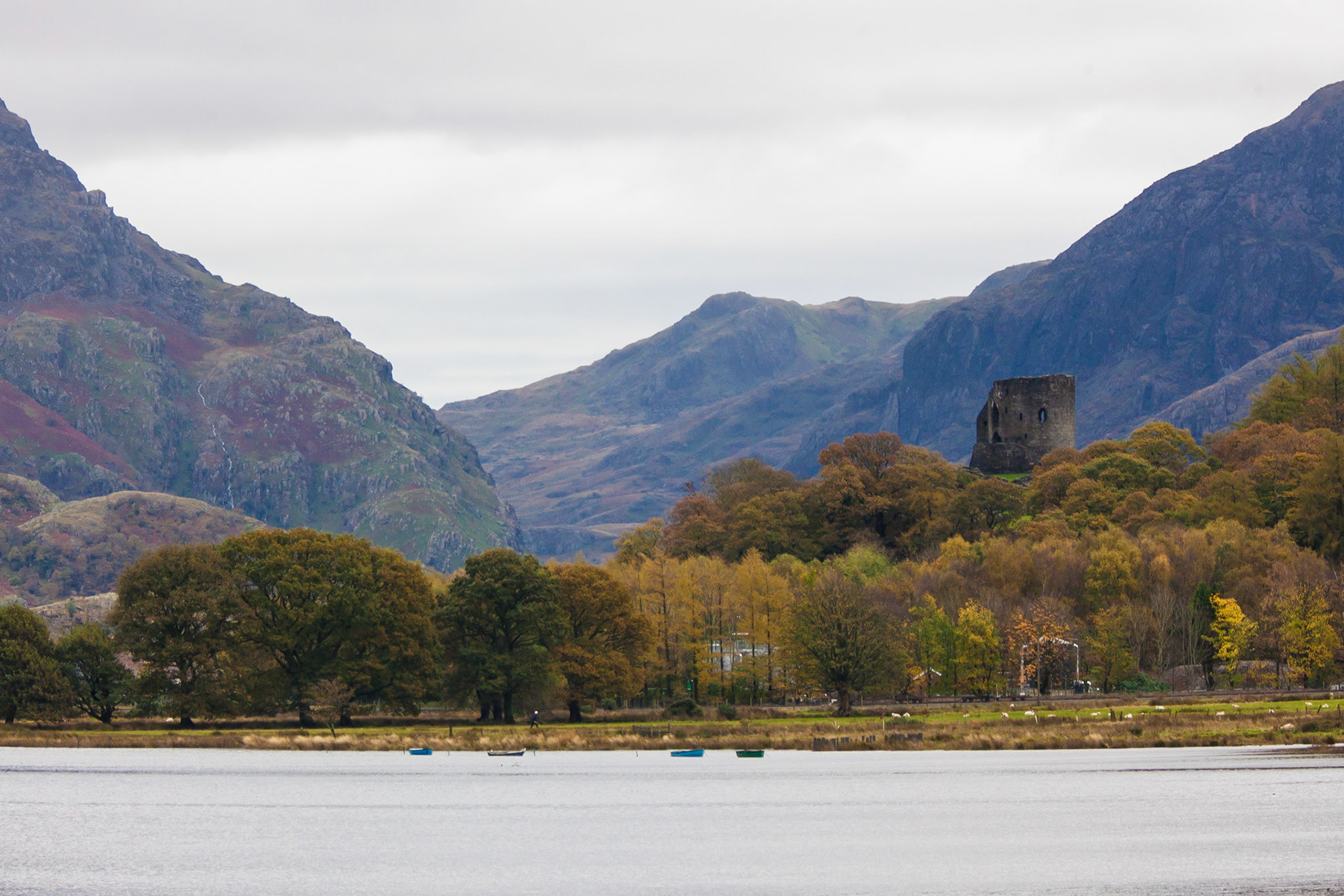 © 2015 Billy Hodgkins Photography All rights reserved.