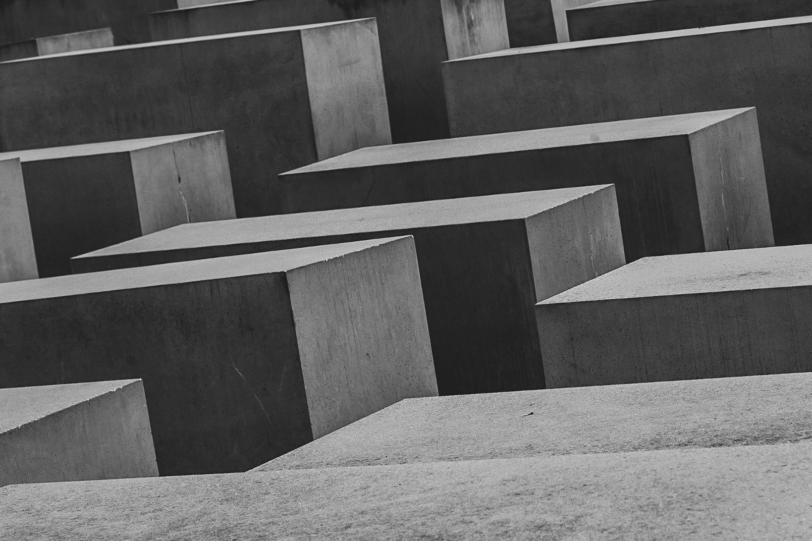 © 2019 Billy Hodgkins Photography All rights reserved.