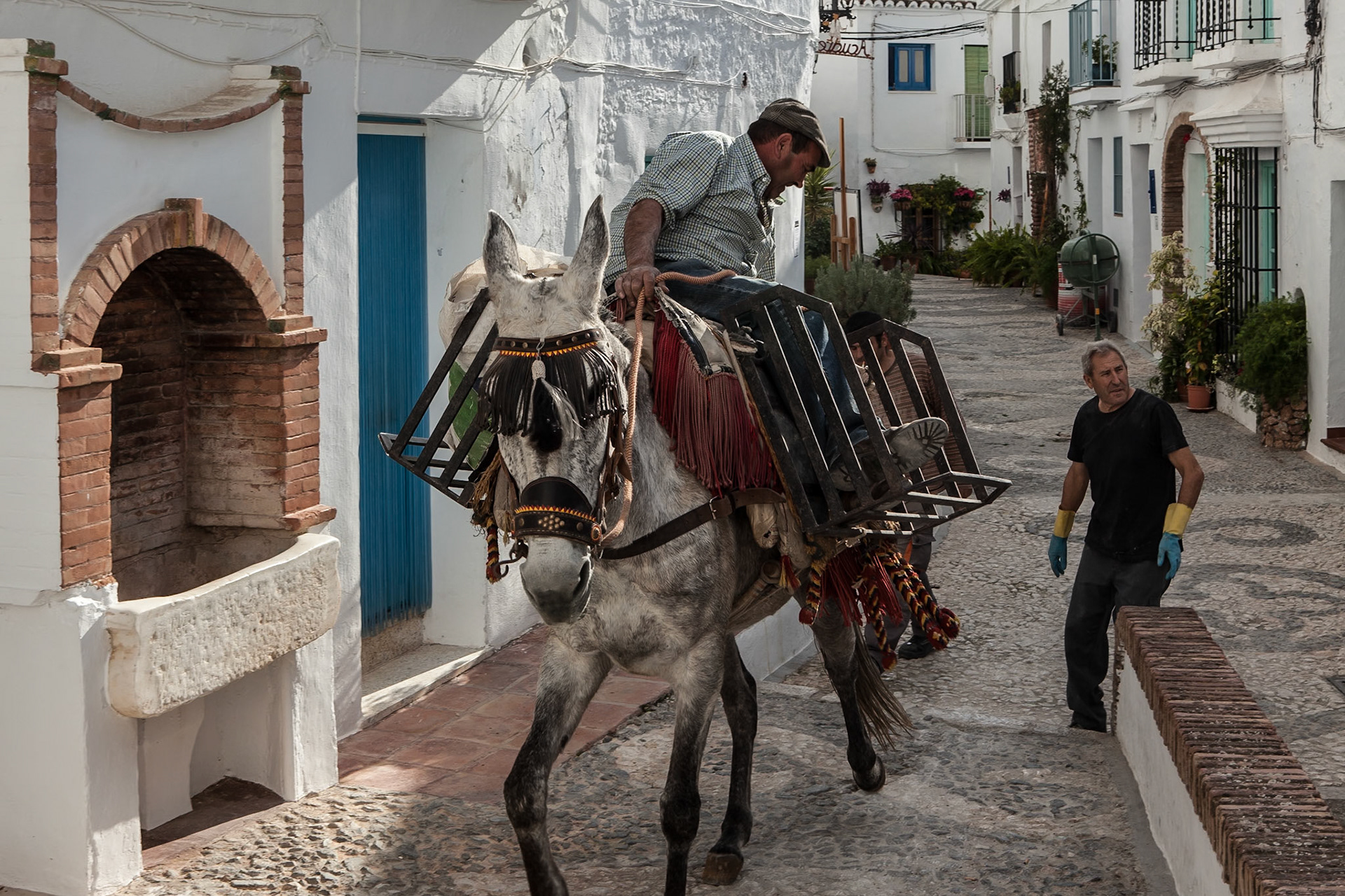 © 2015 Billy Hodgkins Photography All rights reserved.