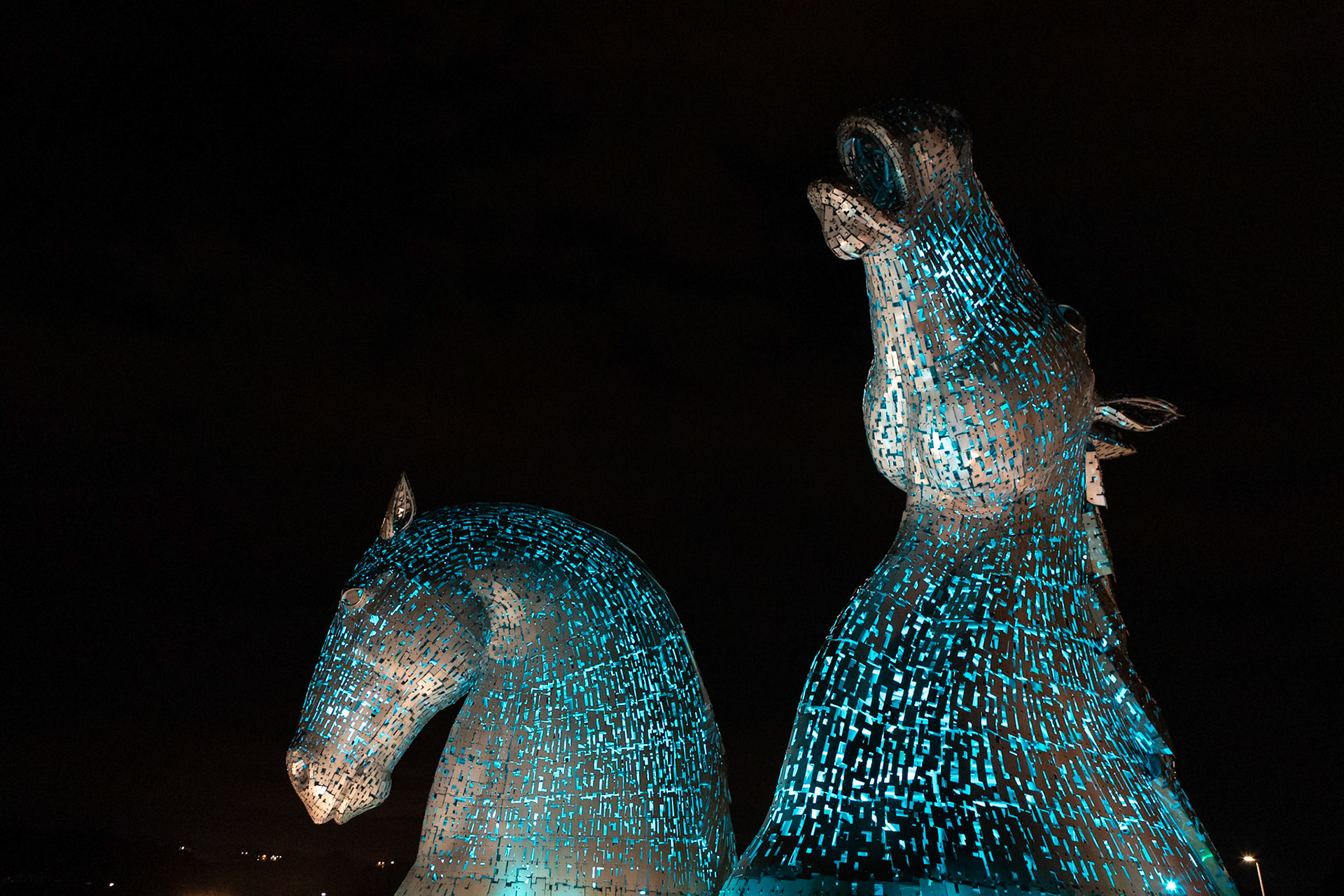 © 2021 Billy Hodgkins Photography All rights reserved.