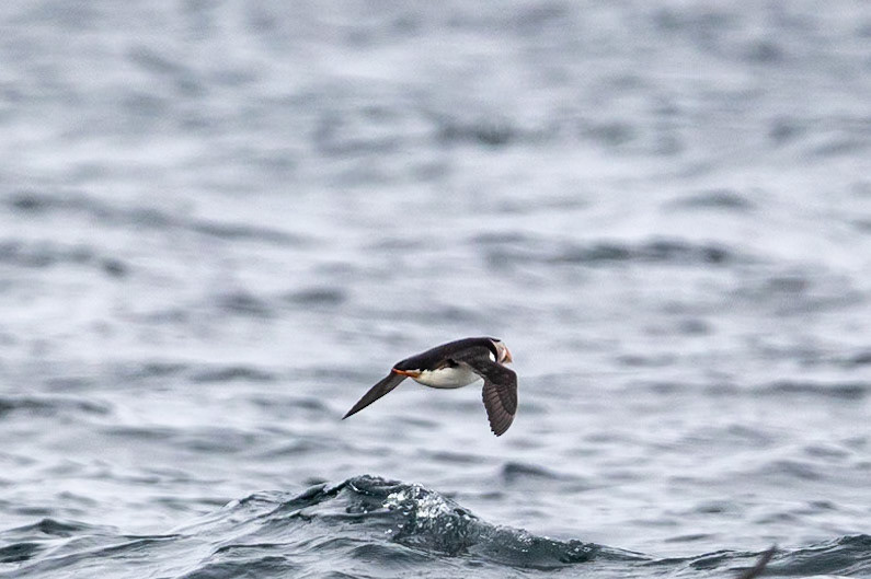 © 2023 Billy Hodgkins Photography All rights reserved.