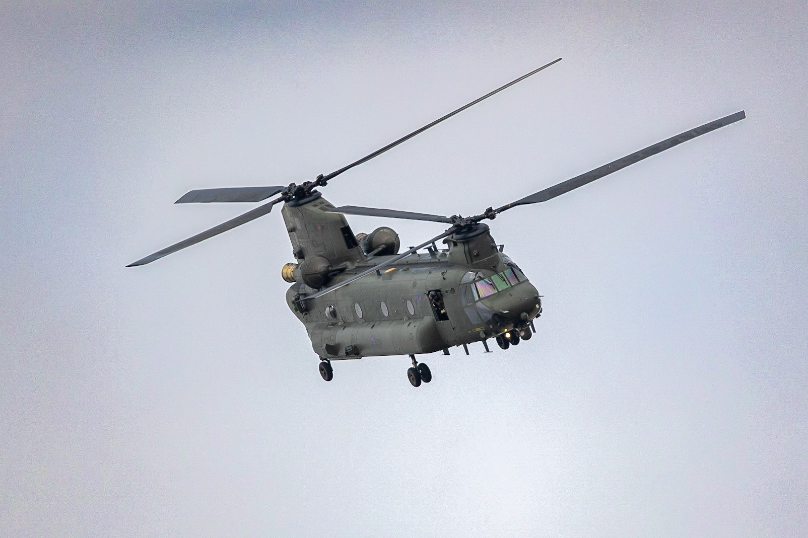 © 2023 Billy Hodgkins Photography All rights reserved.