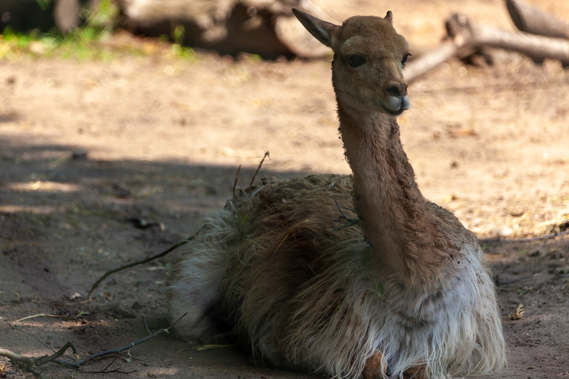 © 2020 Billy Hodgkins Photography All rights reserved.