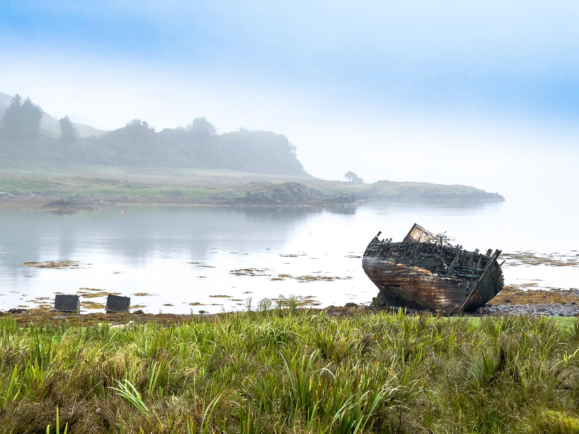 © 2021 Billy Hodgkins Photography All rights reserved.