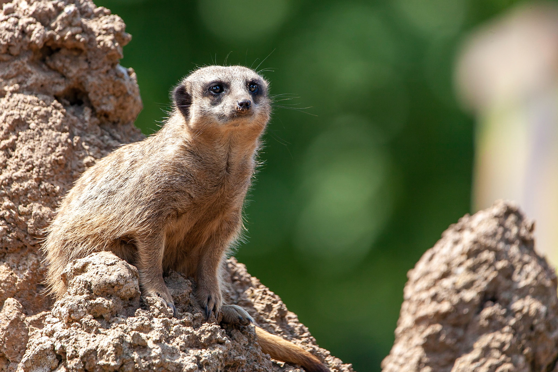 © 2020 Billy Hodgkins Photography All rights reserved.