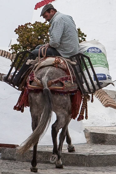 © 2015 Billy Hodgkins Photography All rights reserved.