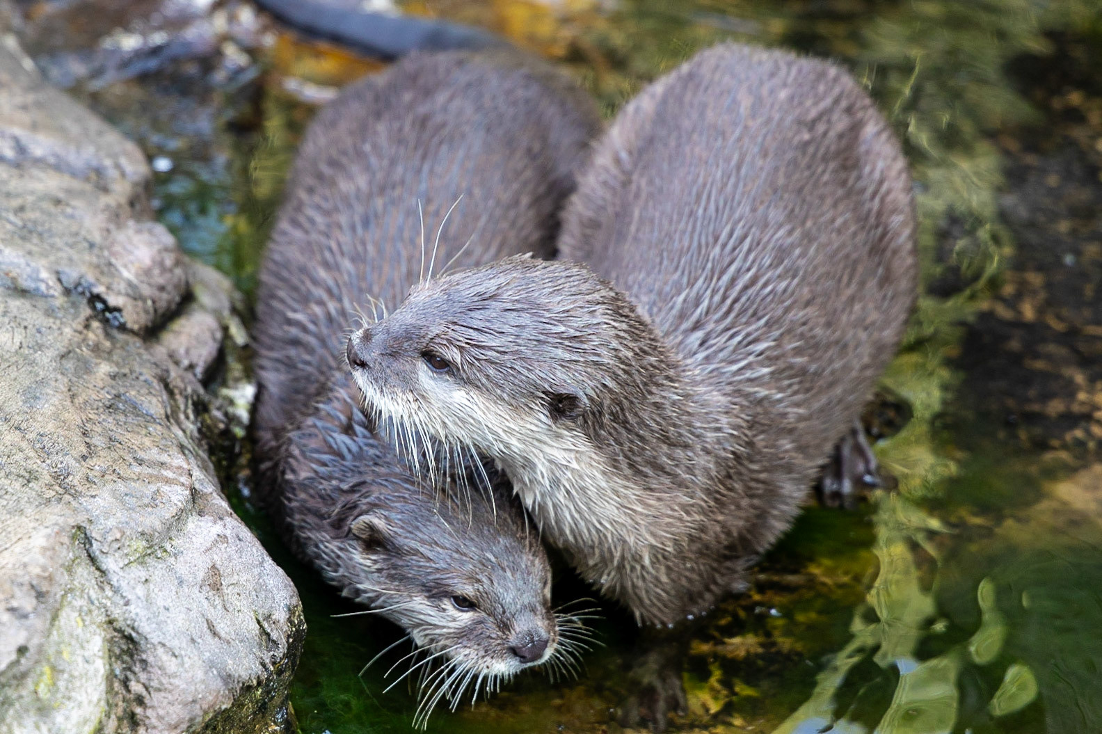 © 2023 Billy Hodgkins Photography All rights reserved.