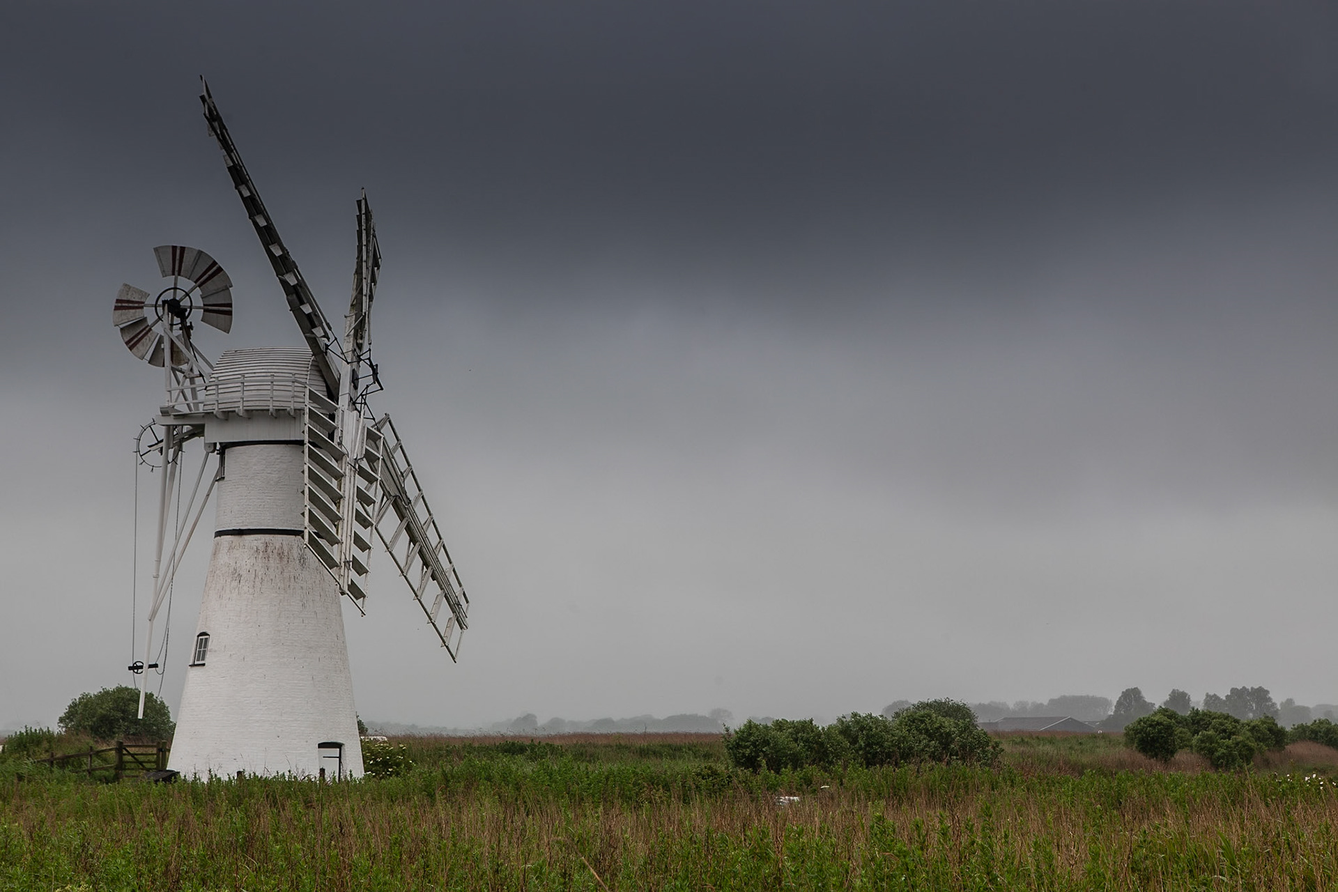 © 2019 Billy Hodgkins Photography All rights reserved.