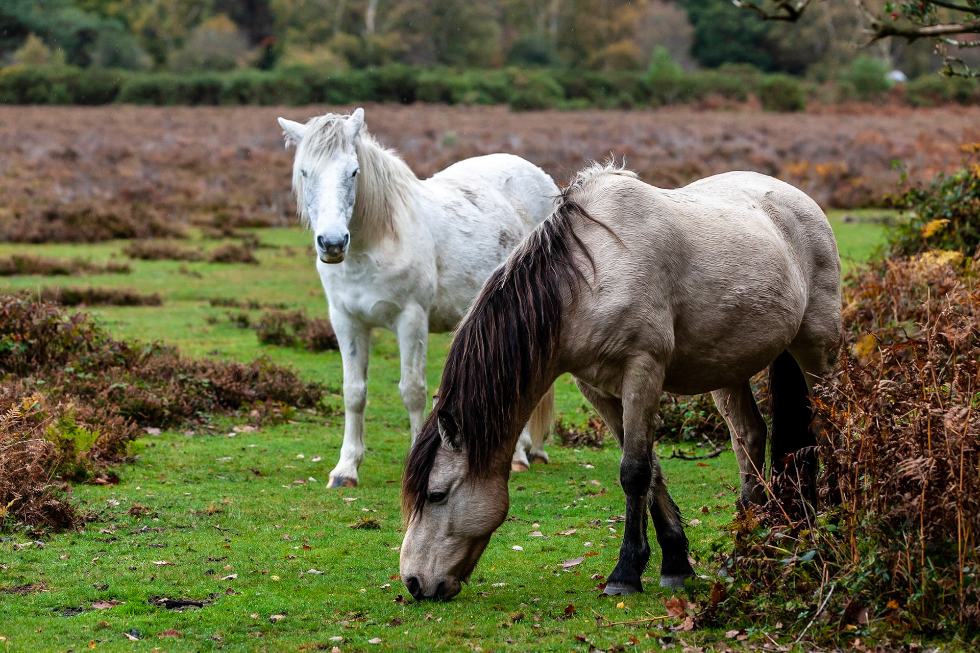 © 2020 Billy Hodgkins Photography All rights reserved.