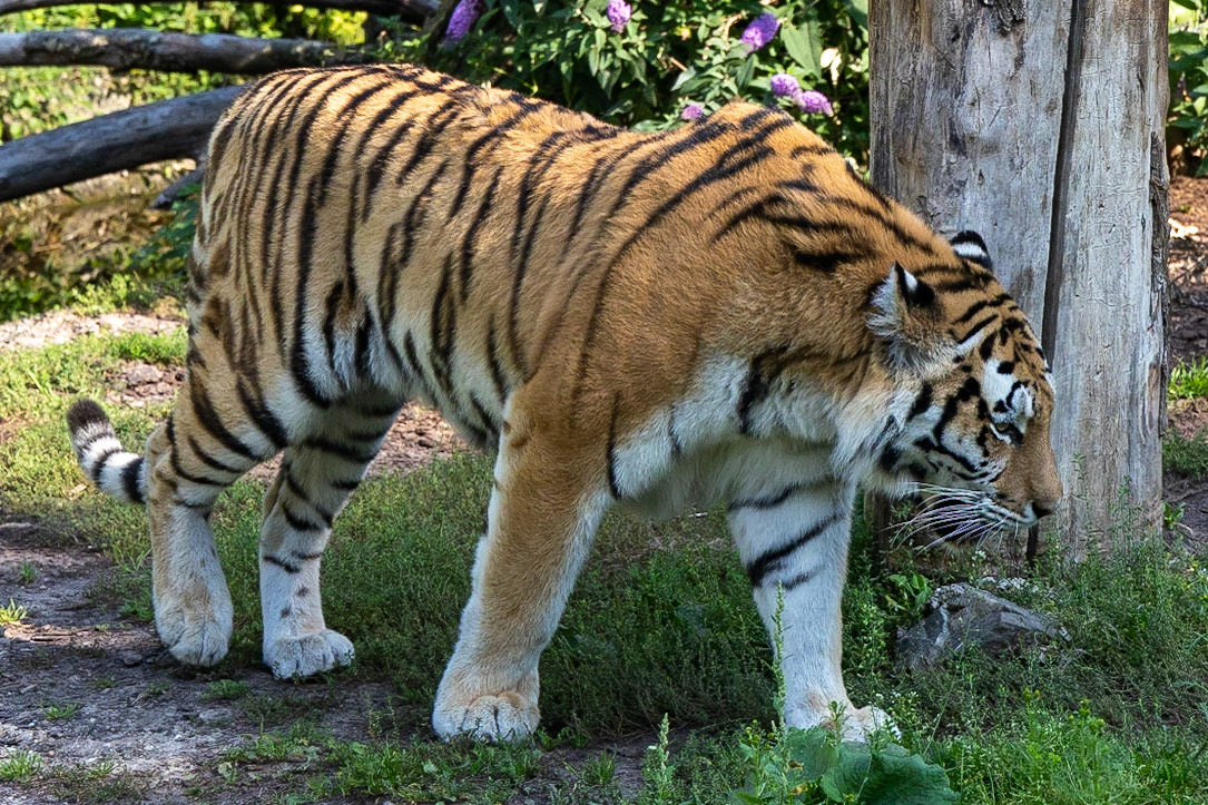 © 2023 Billy Hodgkins Photography All rights reserved.