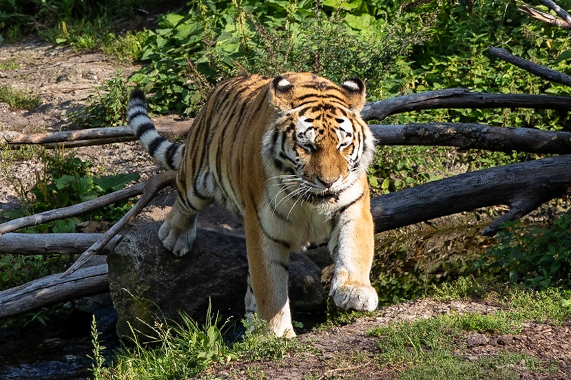 © 2023 Billy Hodgkins Photography All rights reserved.