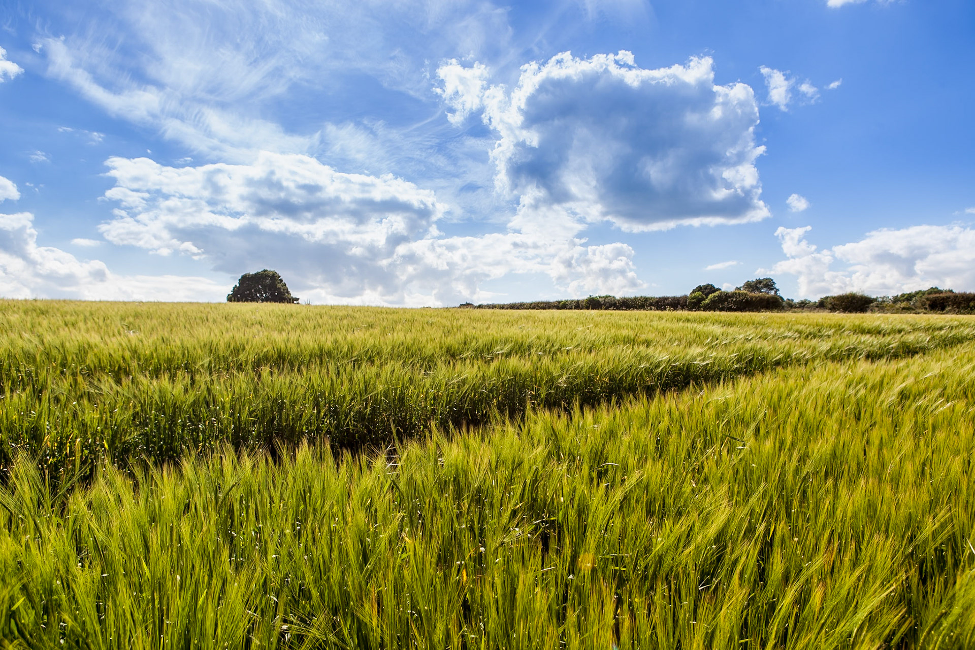 © 2016 Billy Hodgkins Photography All rights reserved.