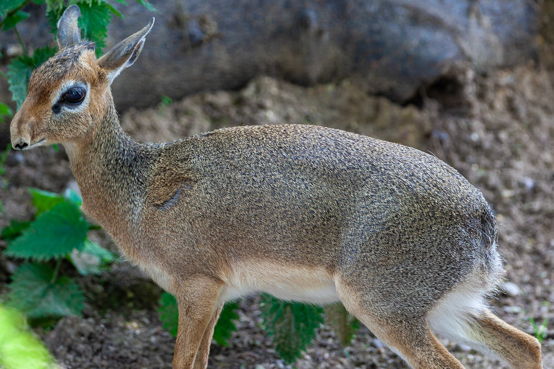 © 2020 Billy Hodgkins Photography All rights reserved.