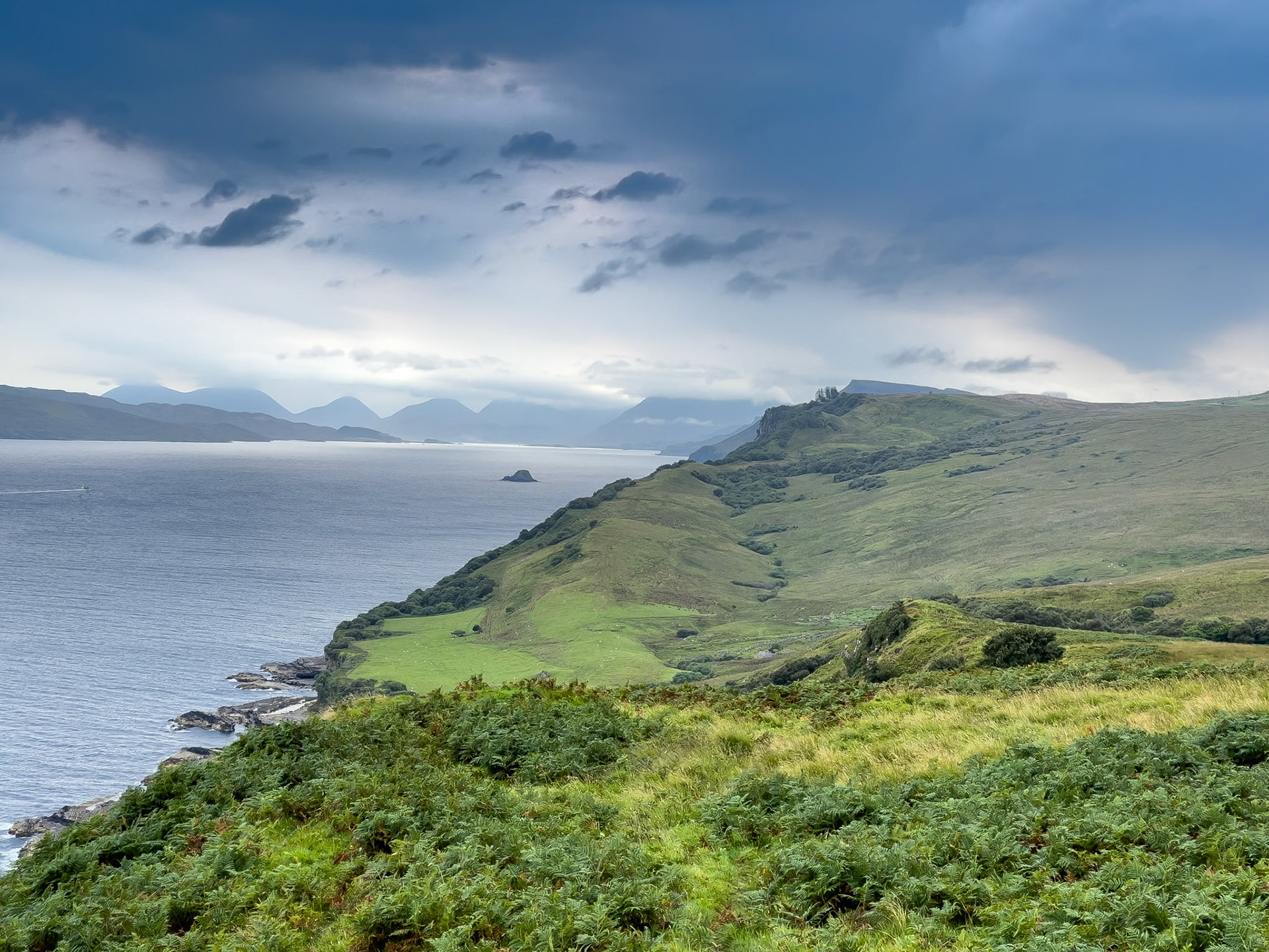 © 2021 Billy Hodgkins Photography All rights reserved.