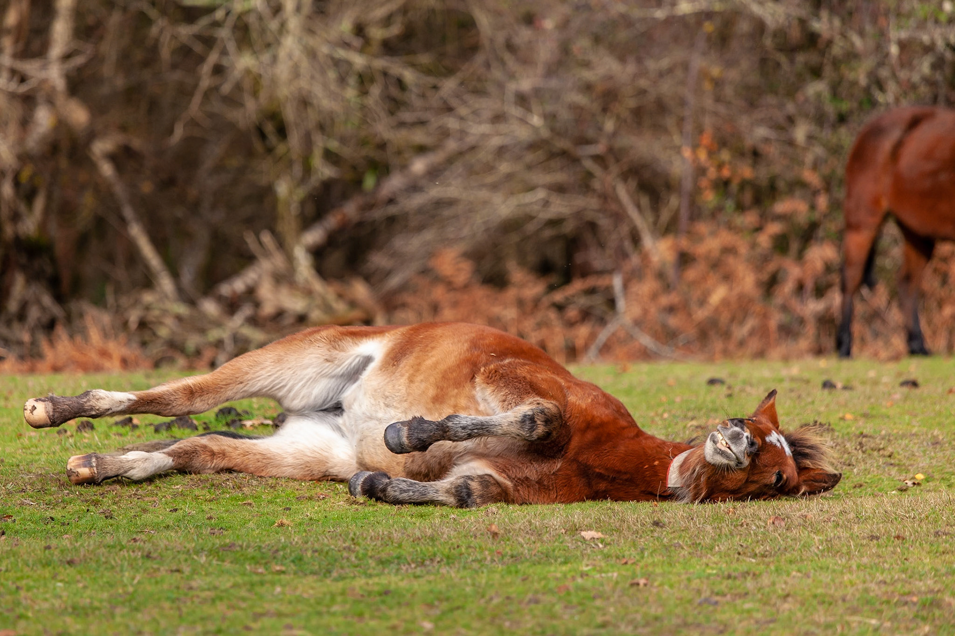 © 2018 Billy Hodgkins Photography All rights reserved.