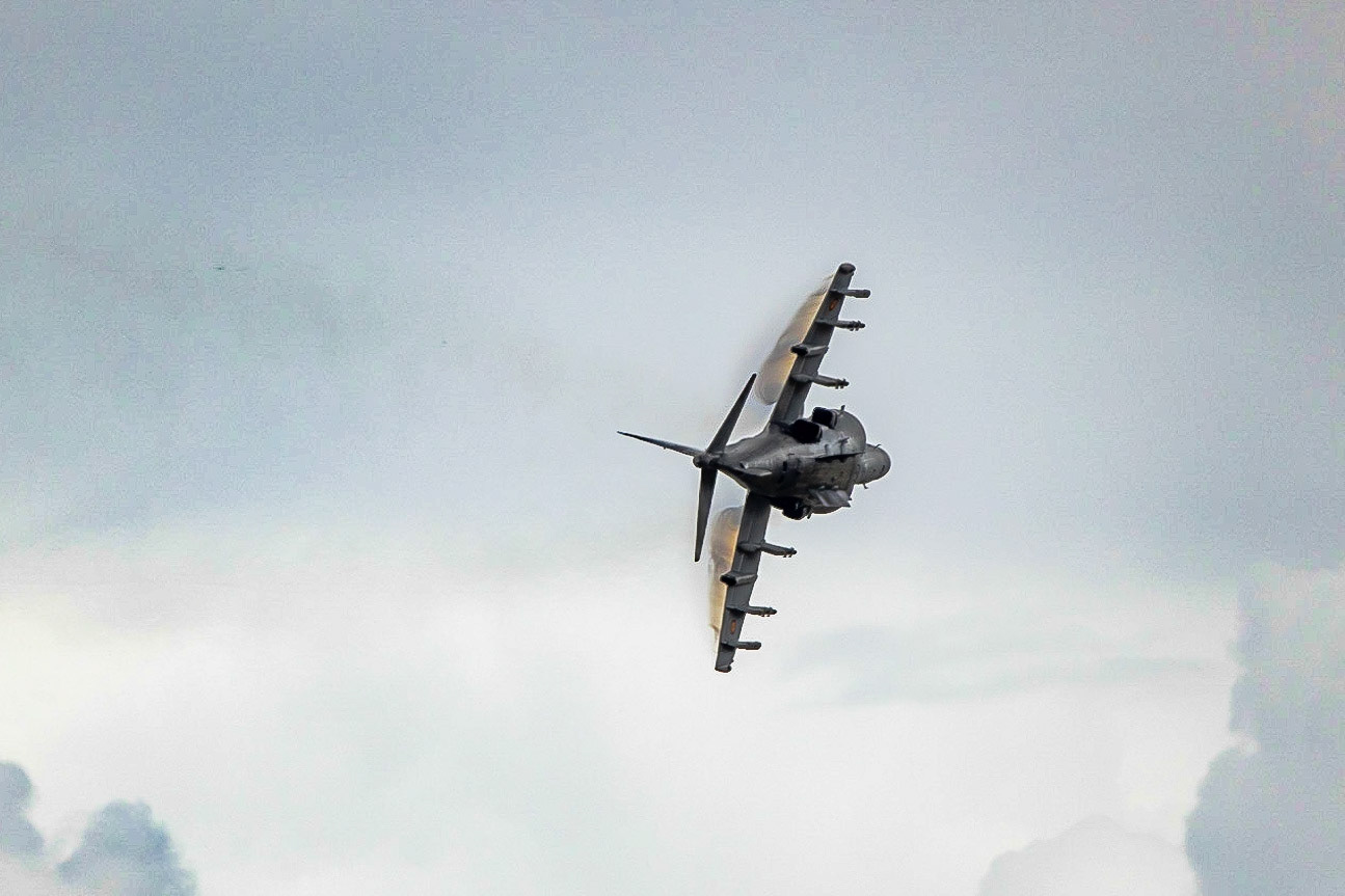 © 2023 Billy Hodgkins Photography All rights reserved.