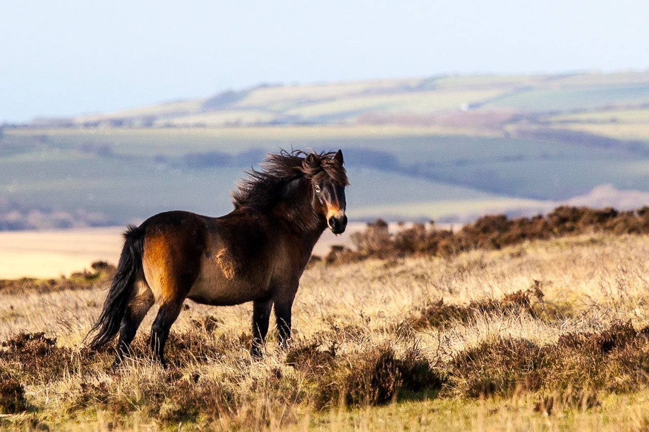 © 2016 Billy Hodgkins Photography All rights reserved.