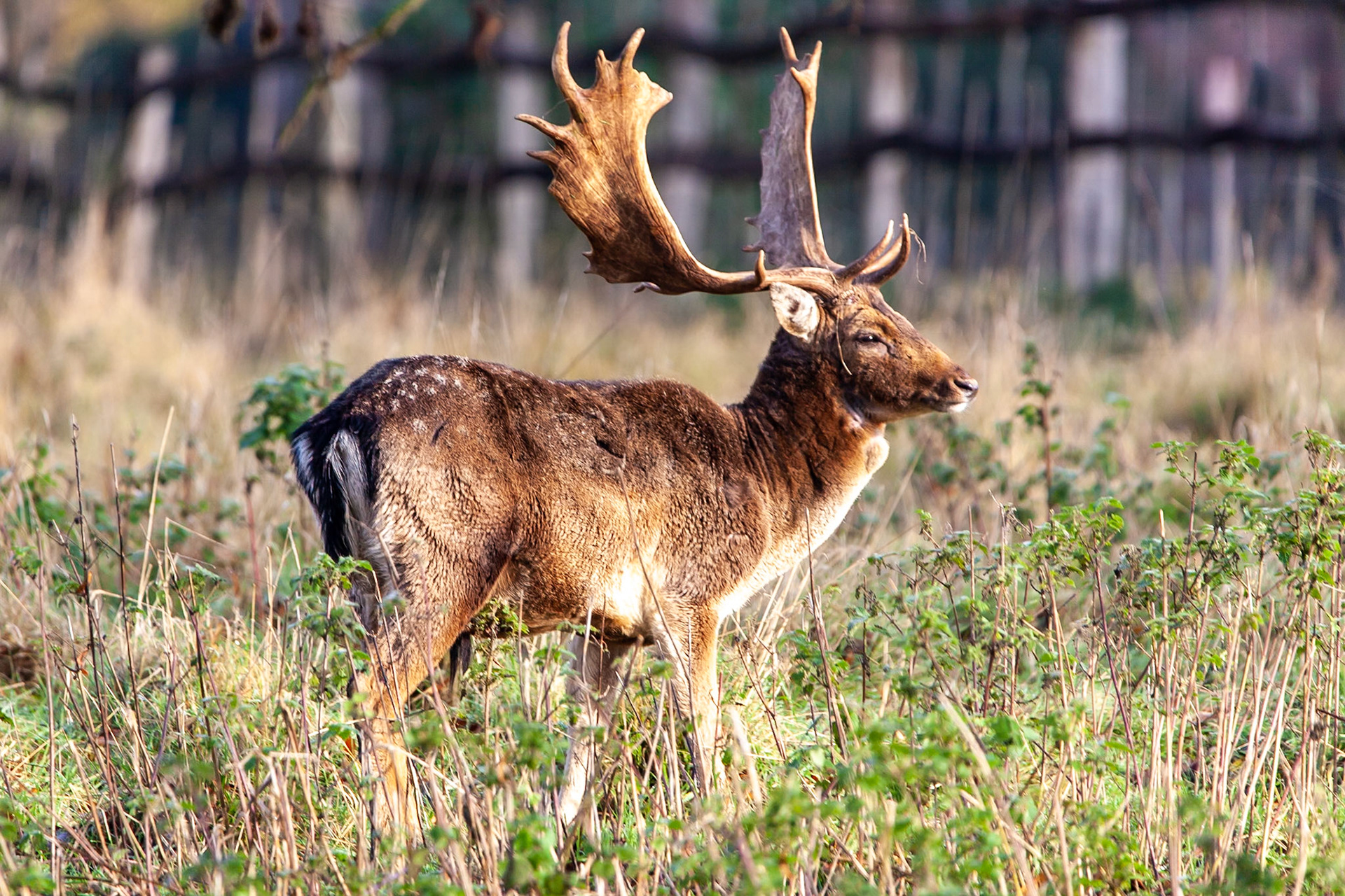 © 2019 Billy Hodgkins Photography All rights reserved.