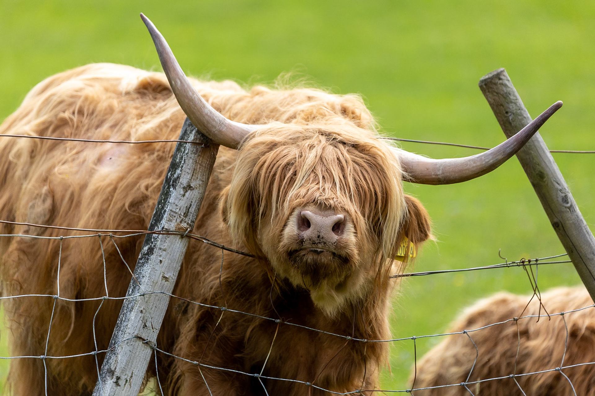 © 2023 Billy Hodgkins Photography All rights reserved.