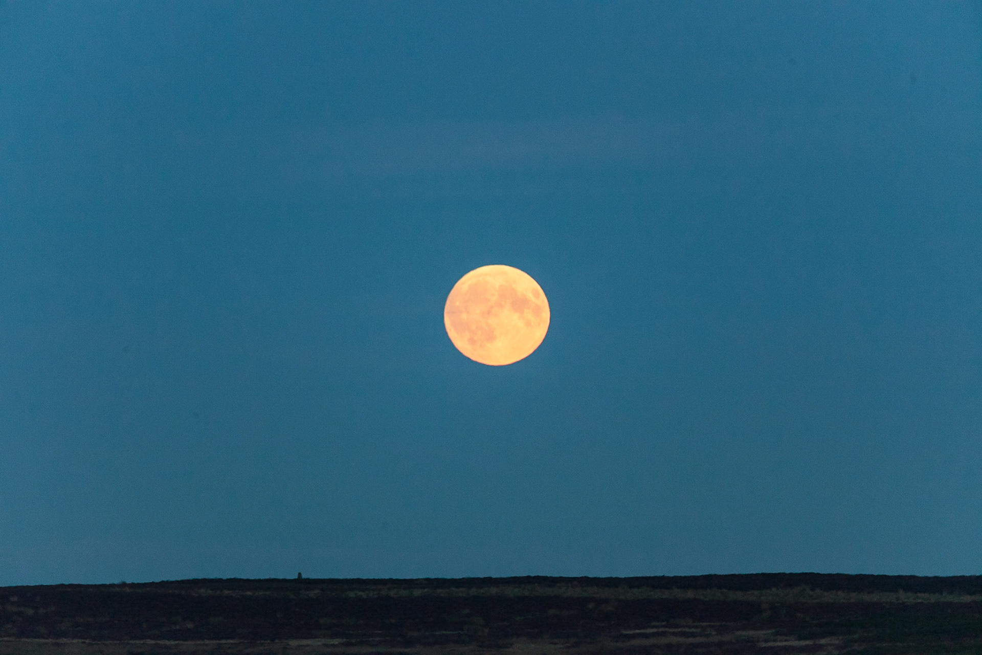 © 2015 Billy Hodgkins Photography All rights reserved.