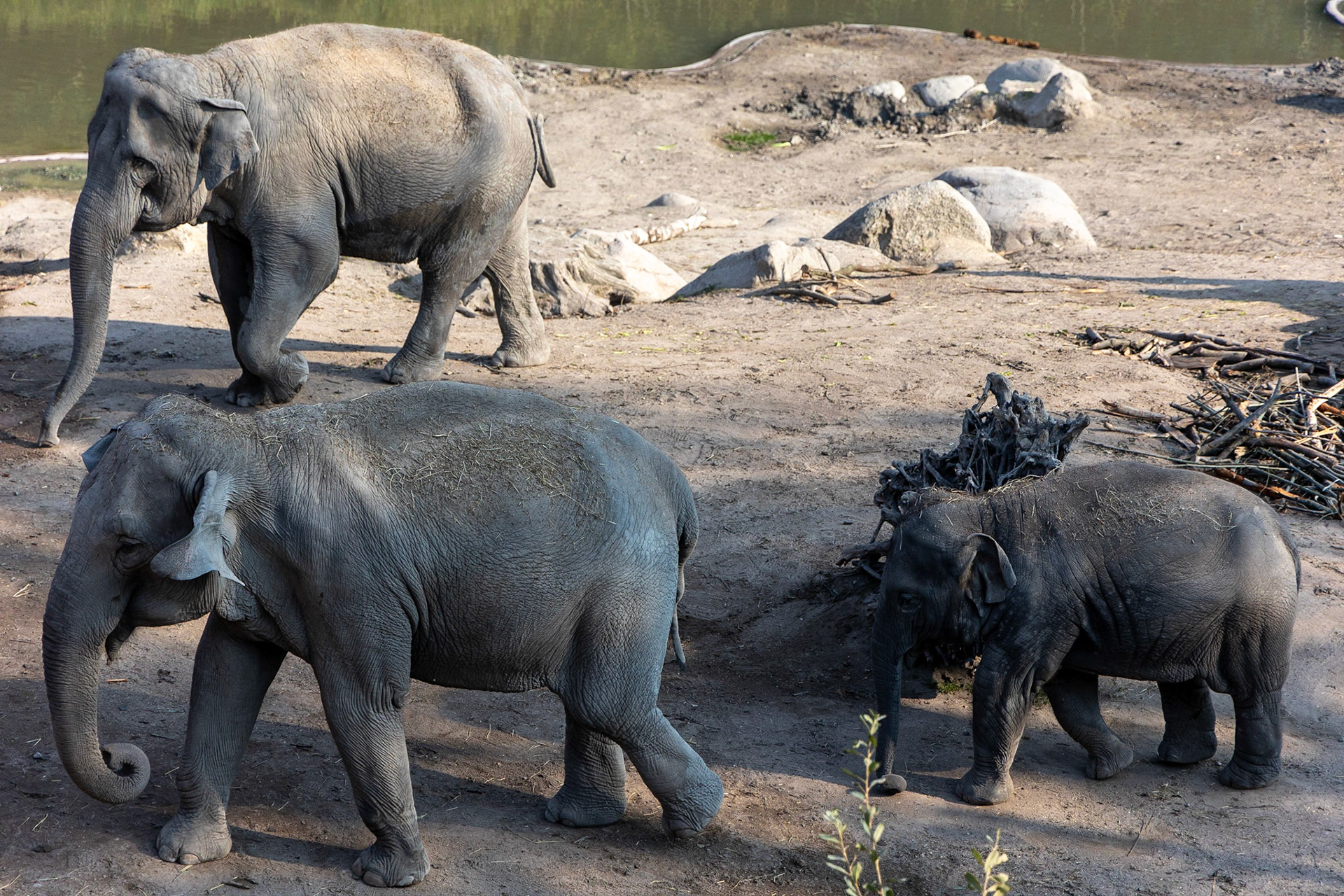 © 2023 Billy Hodgkins Photography All rights reserved.