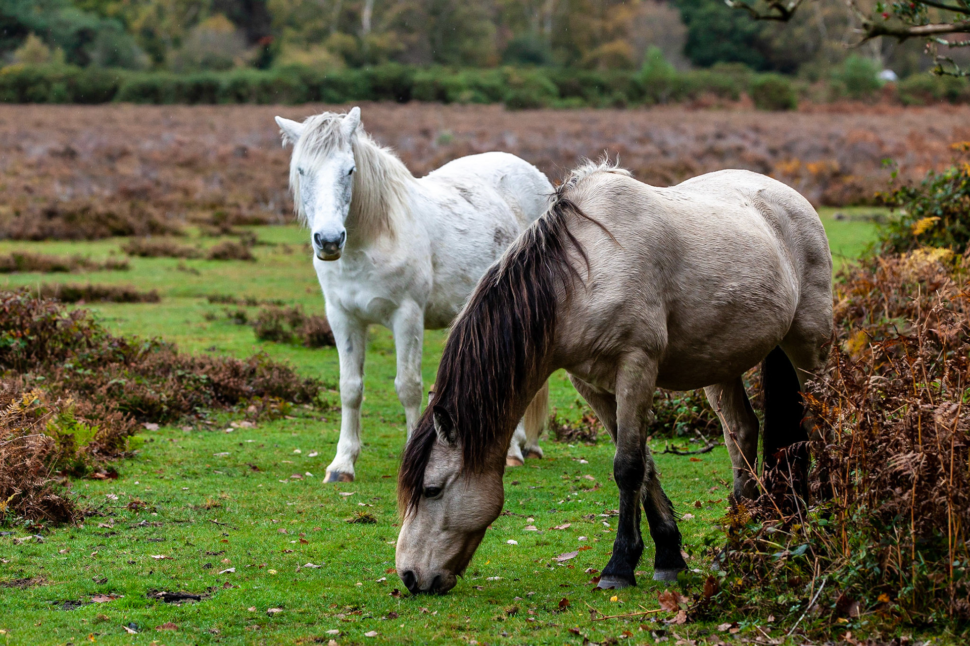 © 2020 Billy Hodgkins Photography All rights reserved.