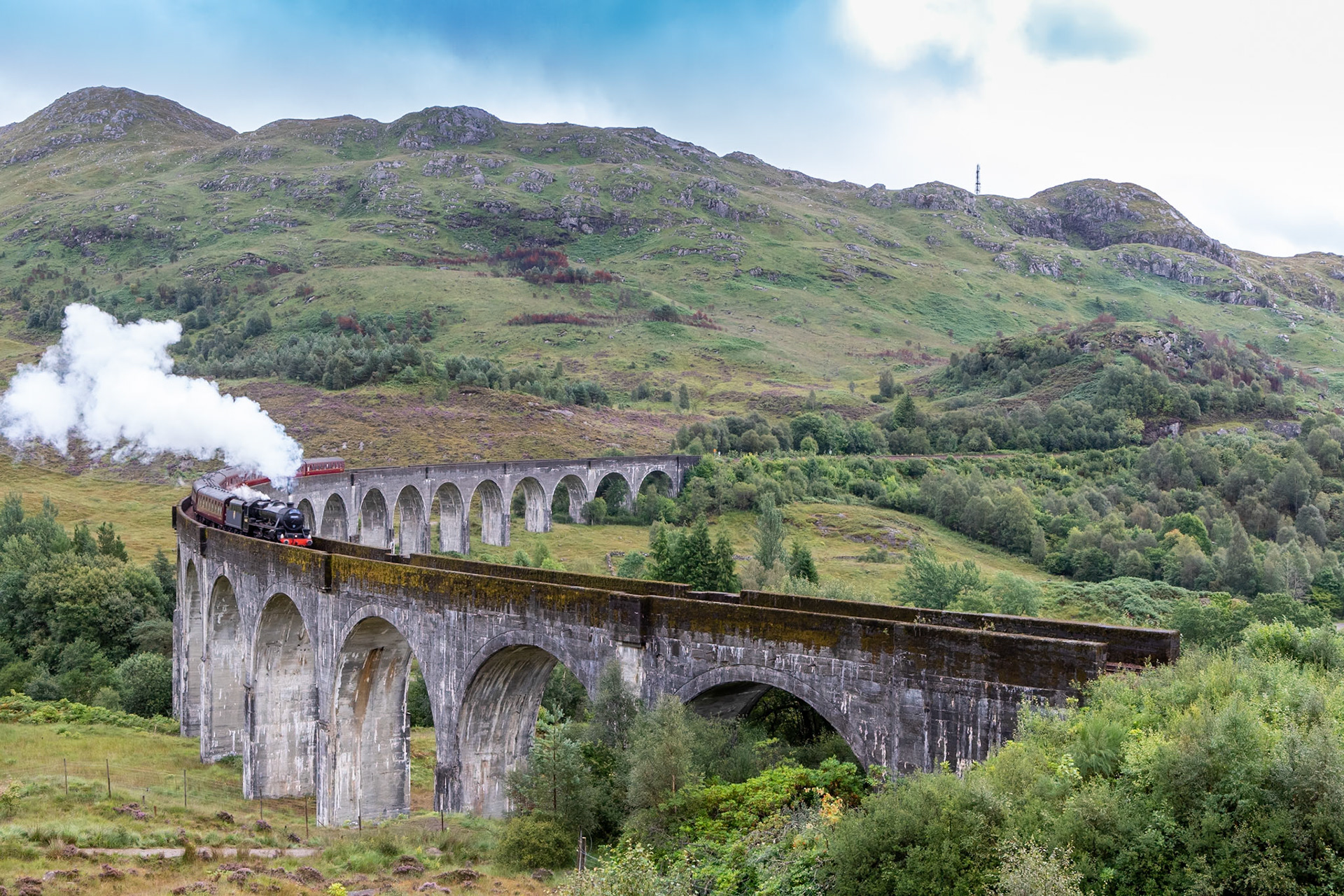 © 2021 Billy Hodgkins Photography All rights reserved.