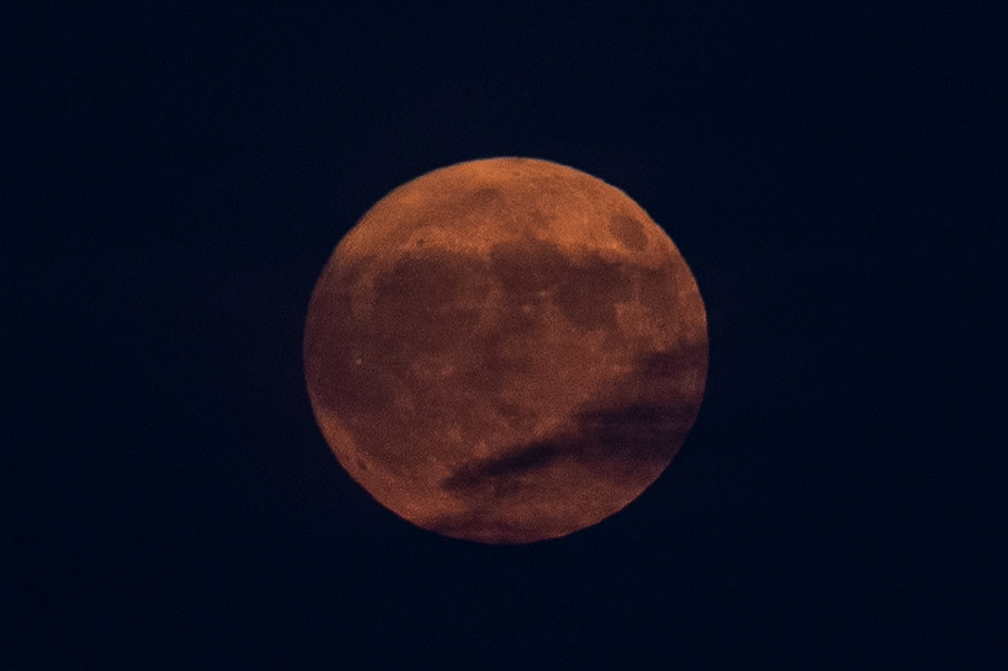 © 2025 Billy Hodgkins Photography All rights reserved.