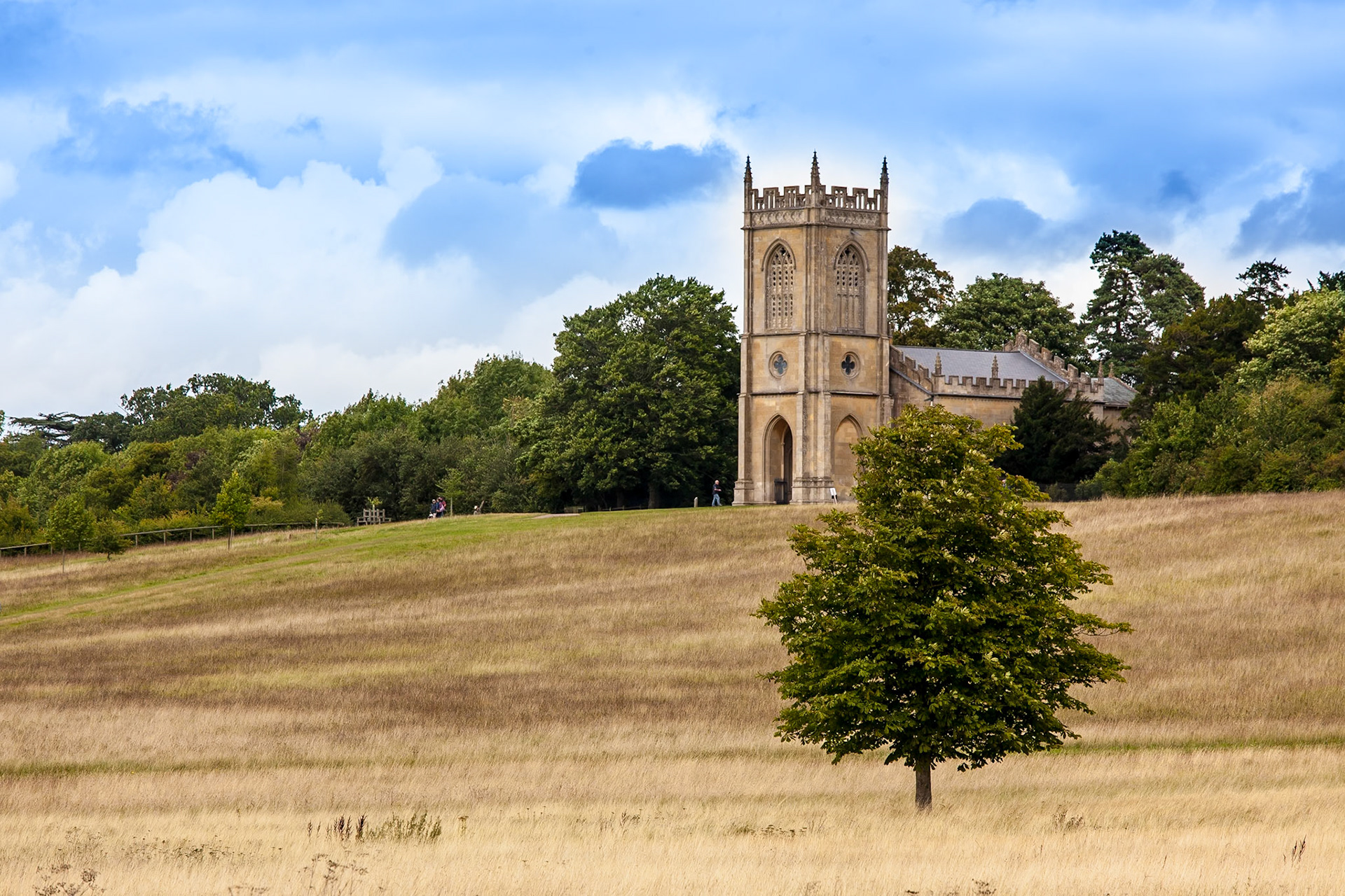 © 2017 Billy Hodgkins Photography All rights reserved.