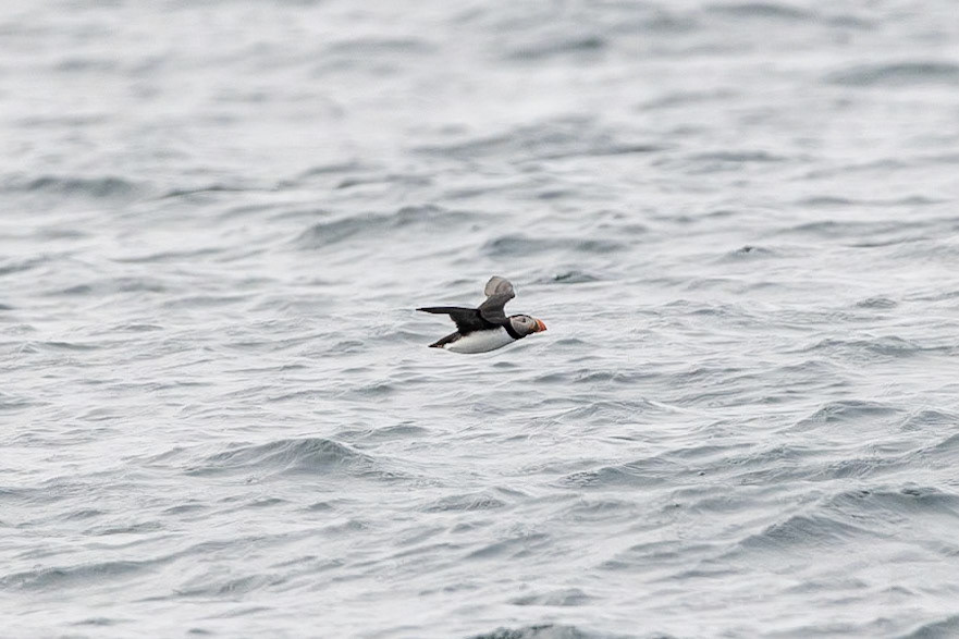 © 2023 Billy Hodgkins Photography All rights reserved.