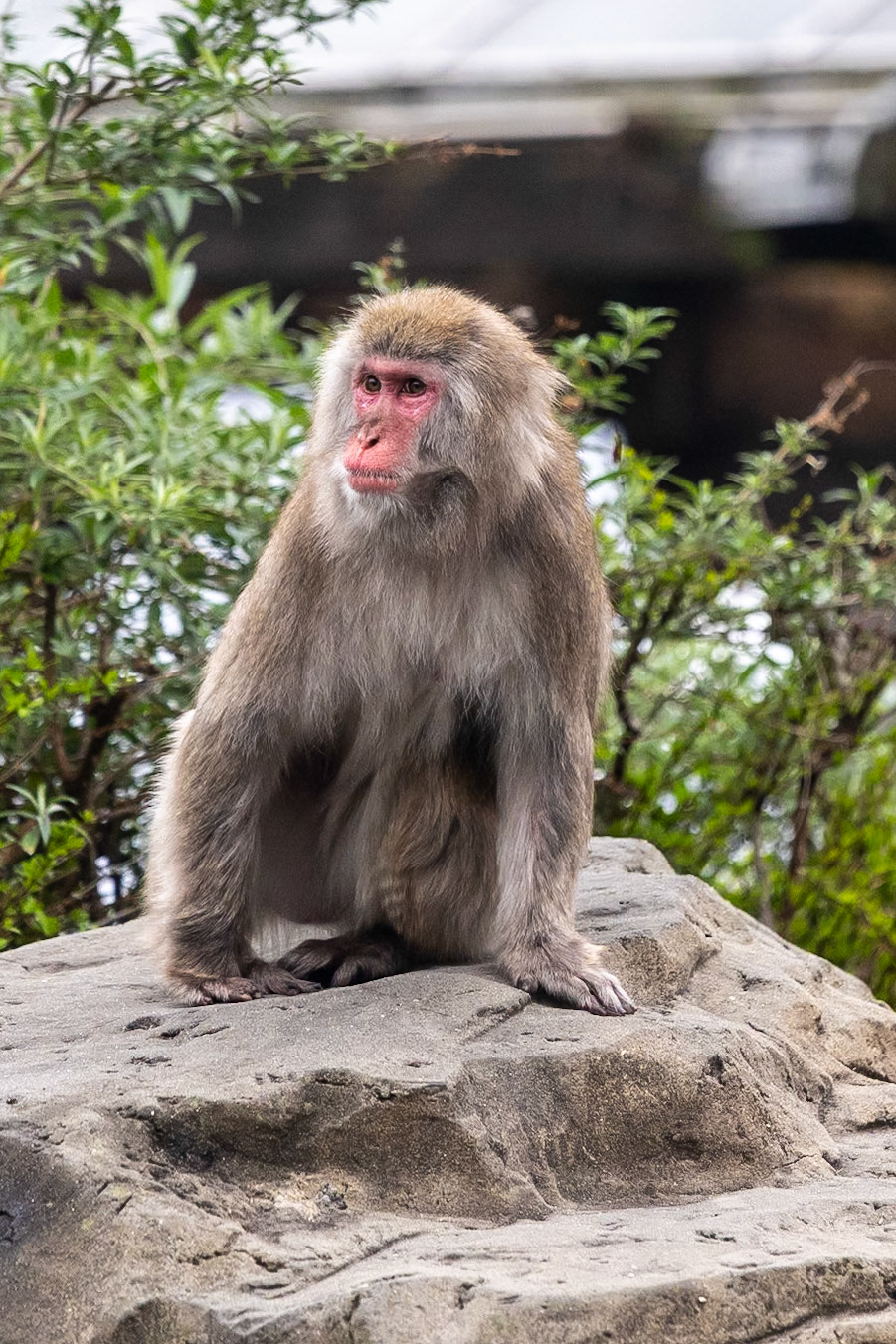 © 2024 Billy Hodgkins Photography All rights reserved.