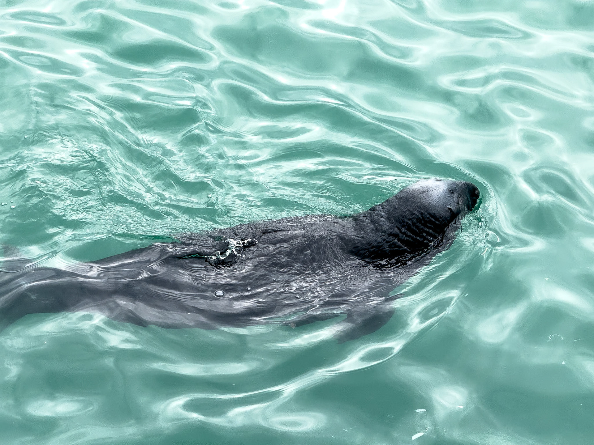 © 2025 Billy Hodgkins Photography All rights reserved.