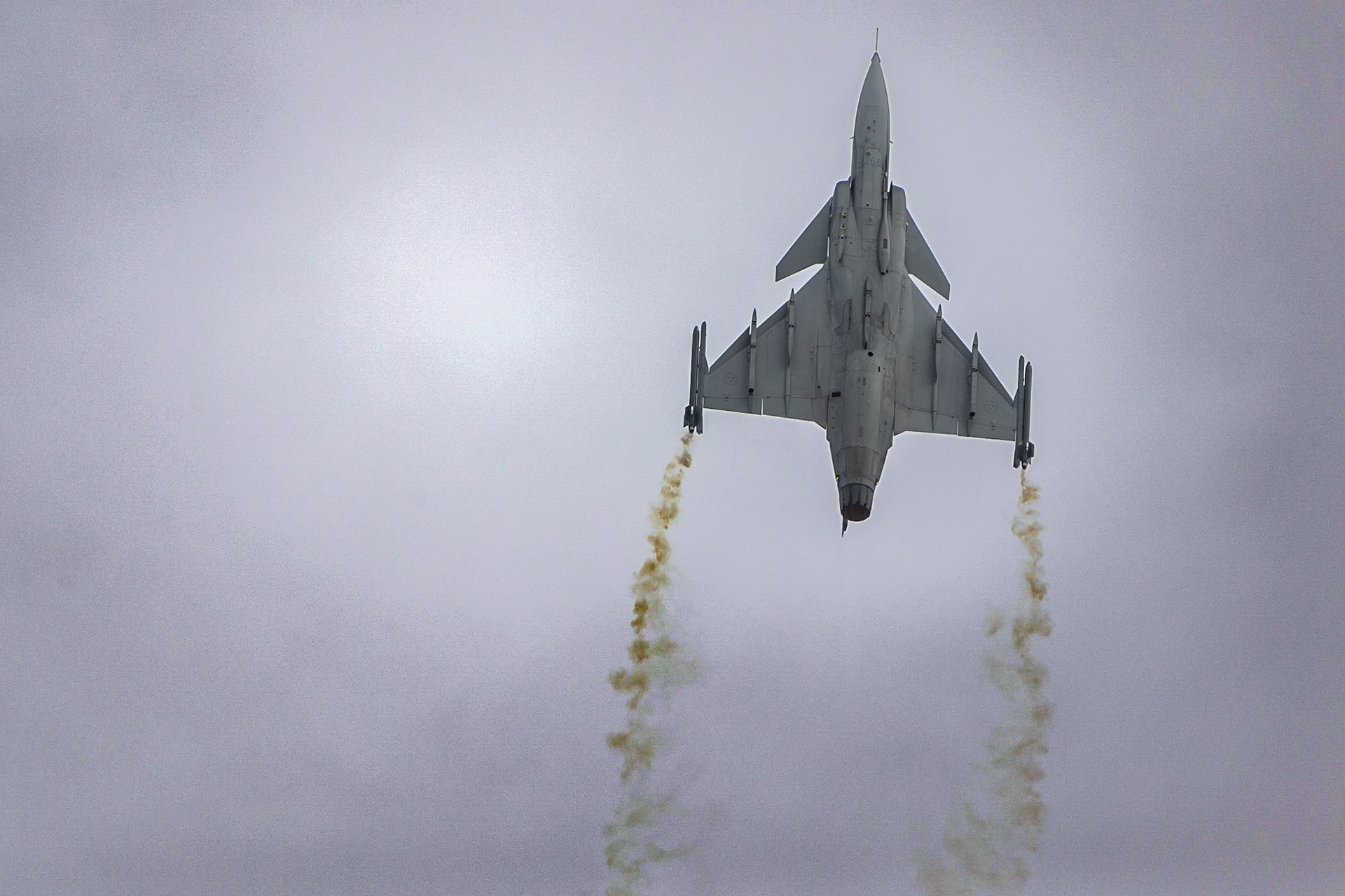 © 2023 Billy Hodgkins Photography All rights reserved.