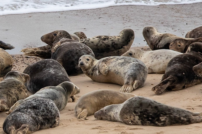 © 2021 Billy Hodgkins Photography All rights reserved.