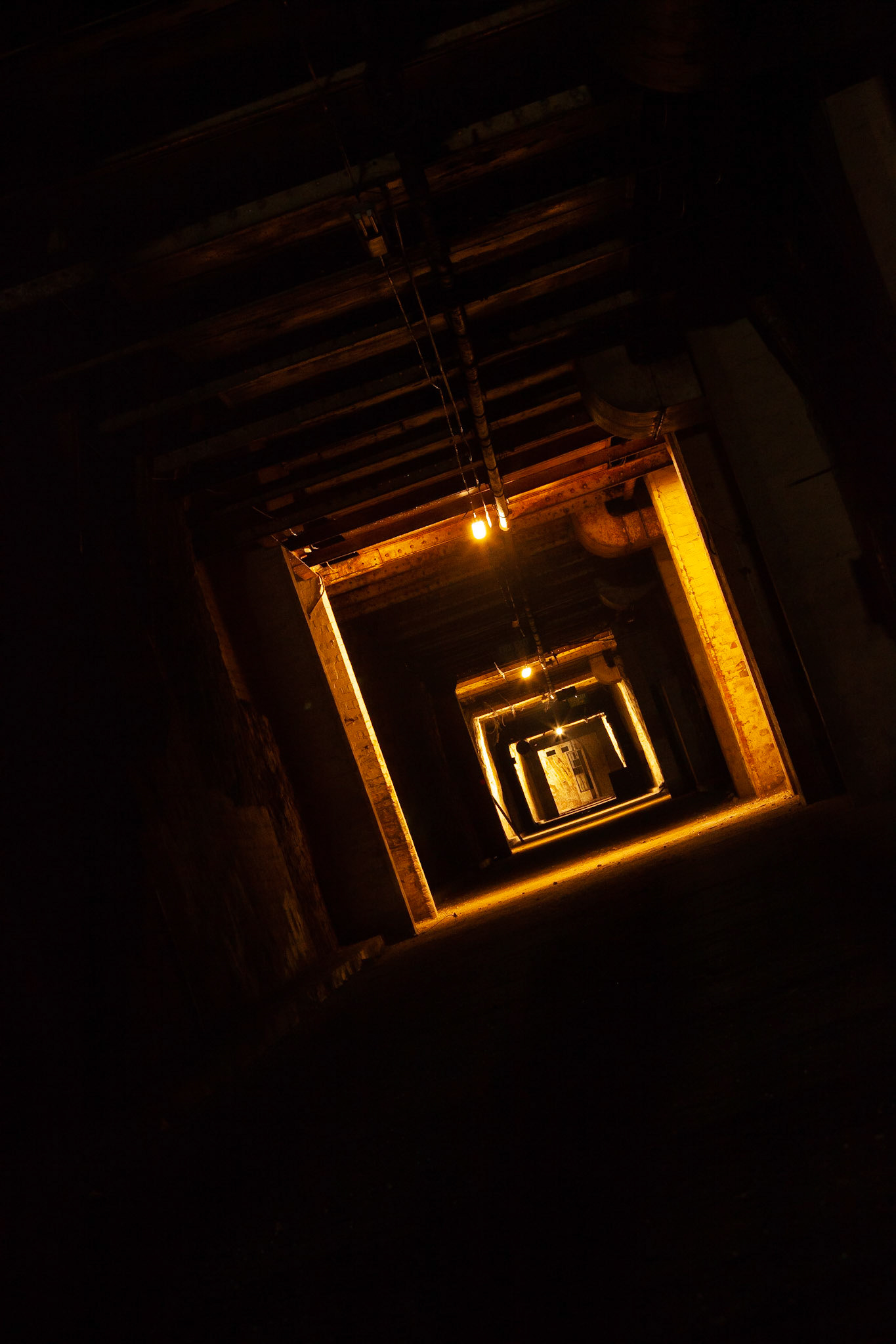 © 2019 Billy Hodgkins Photography All rights reserved.