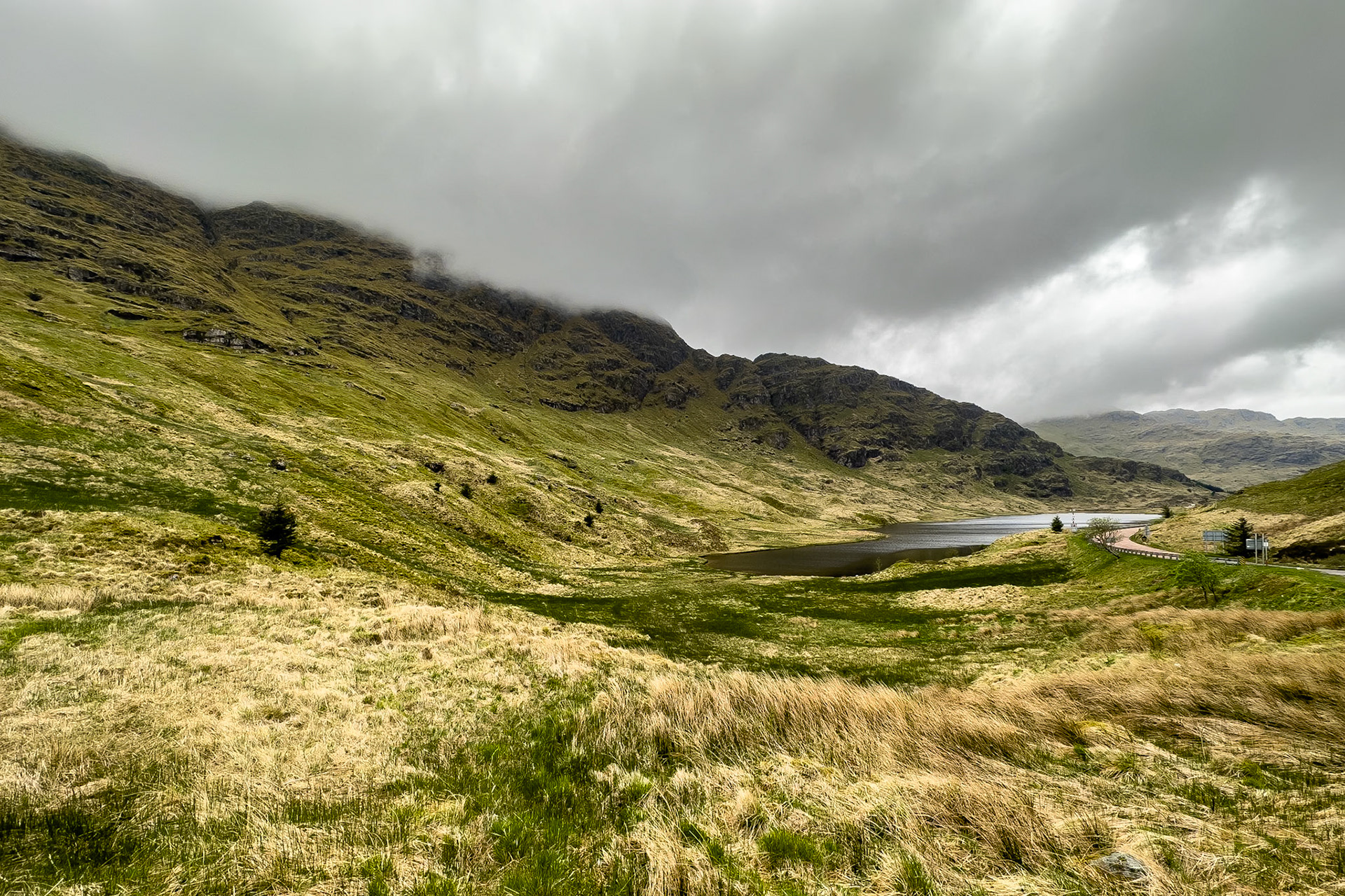 © 2023 Billy Hodgkins Photography All rights reserved.