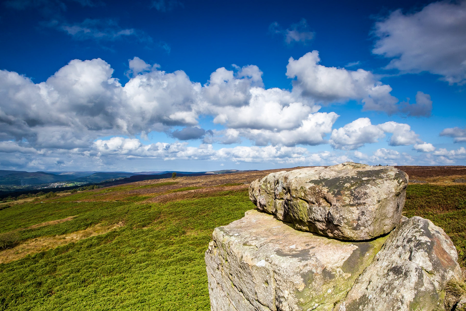 © 2015 Billy Hodgkins Photography All rights reserved.