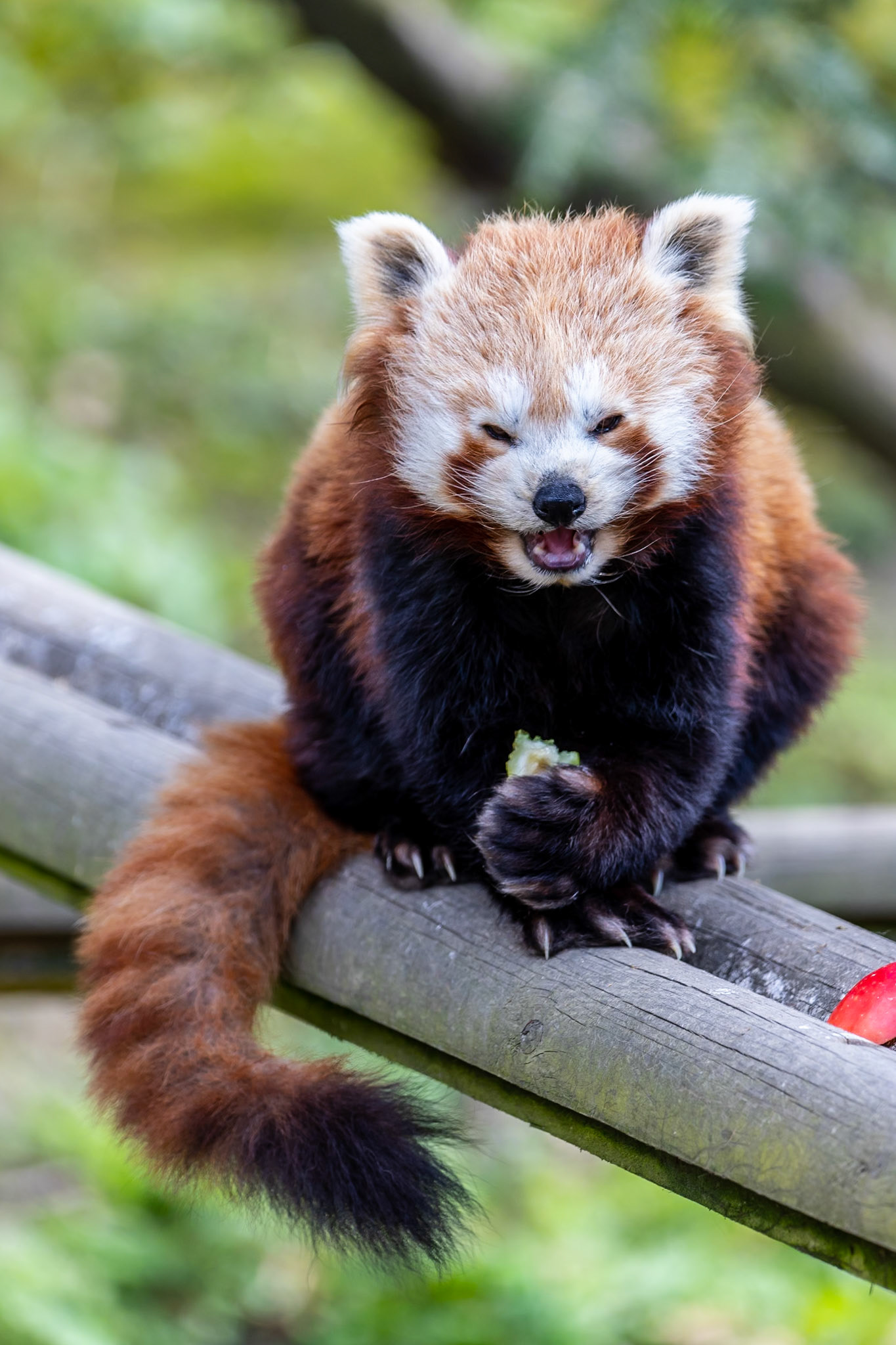 © 2021 Billy Hodgkins Photography All rights reserved.