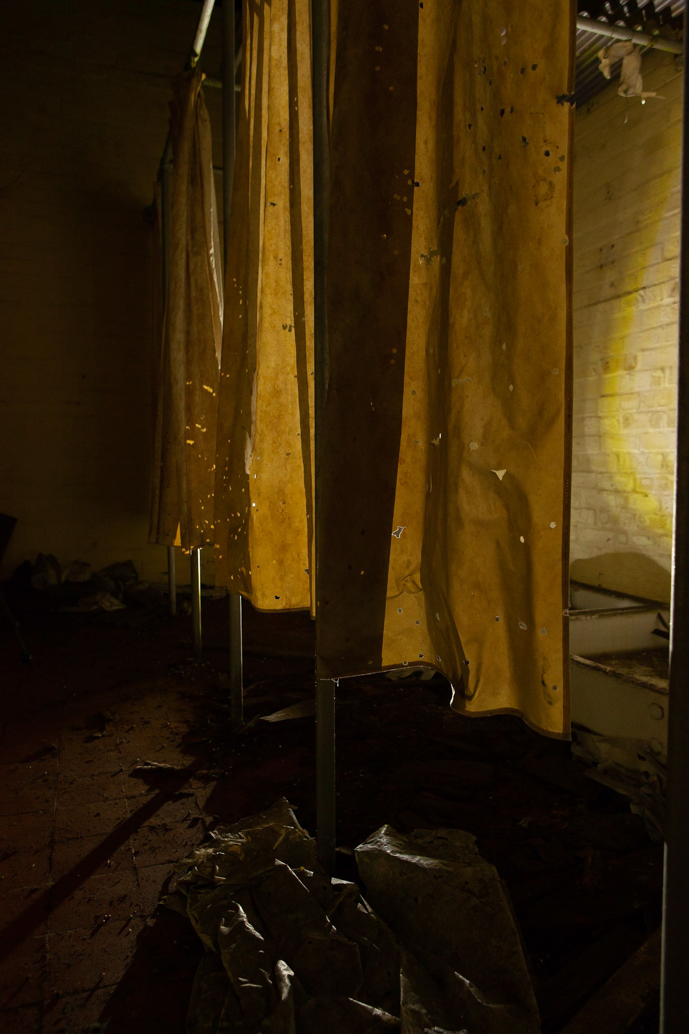 © 2019 Billy Hodgkins Photography All rights reserved.